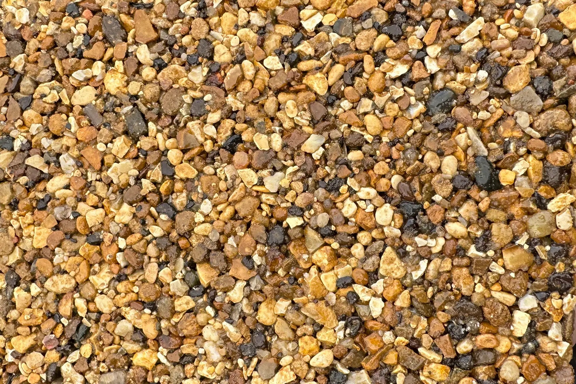 Whernside Sample Vuba