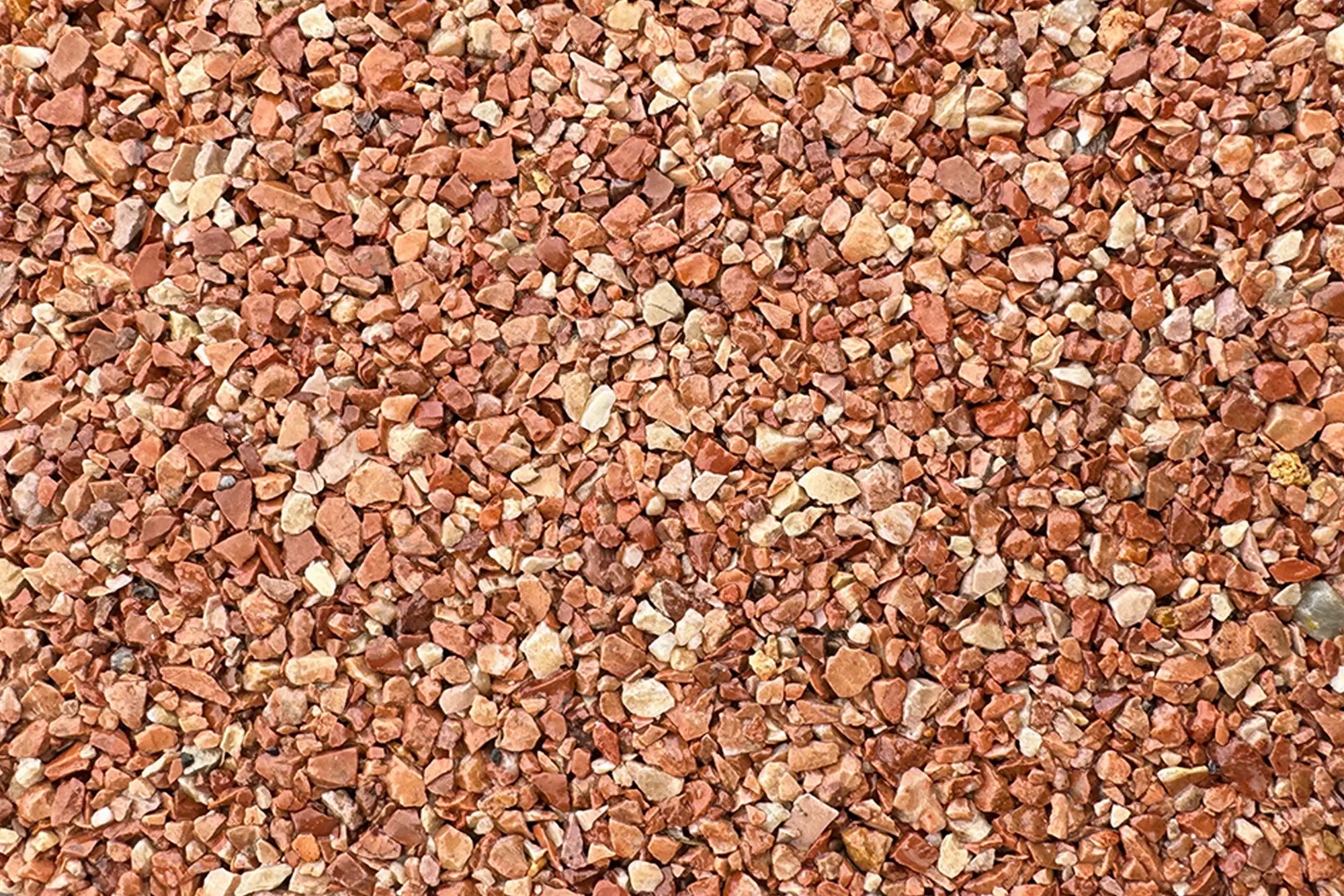 Tallahassee Sample Vuba