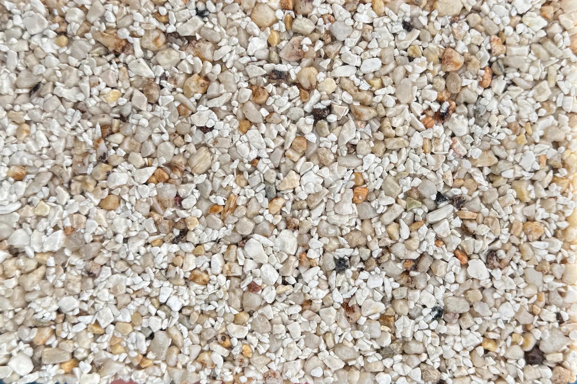 Bondi Breeze Sample Vuba