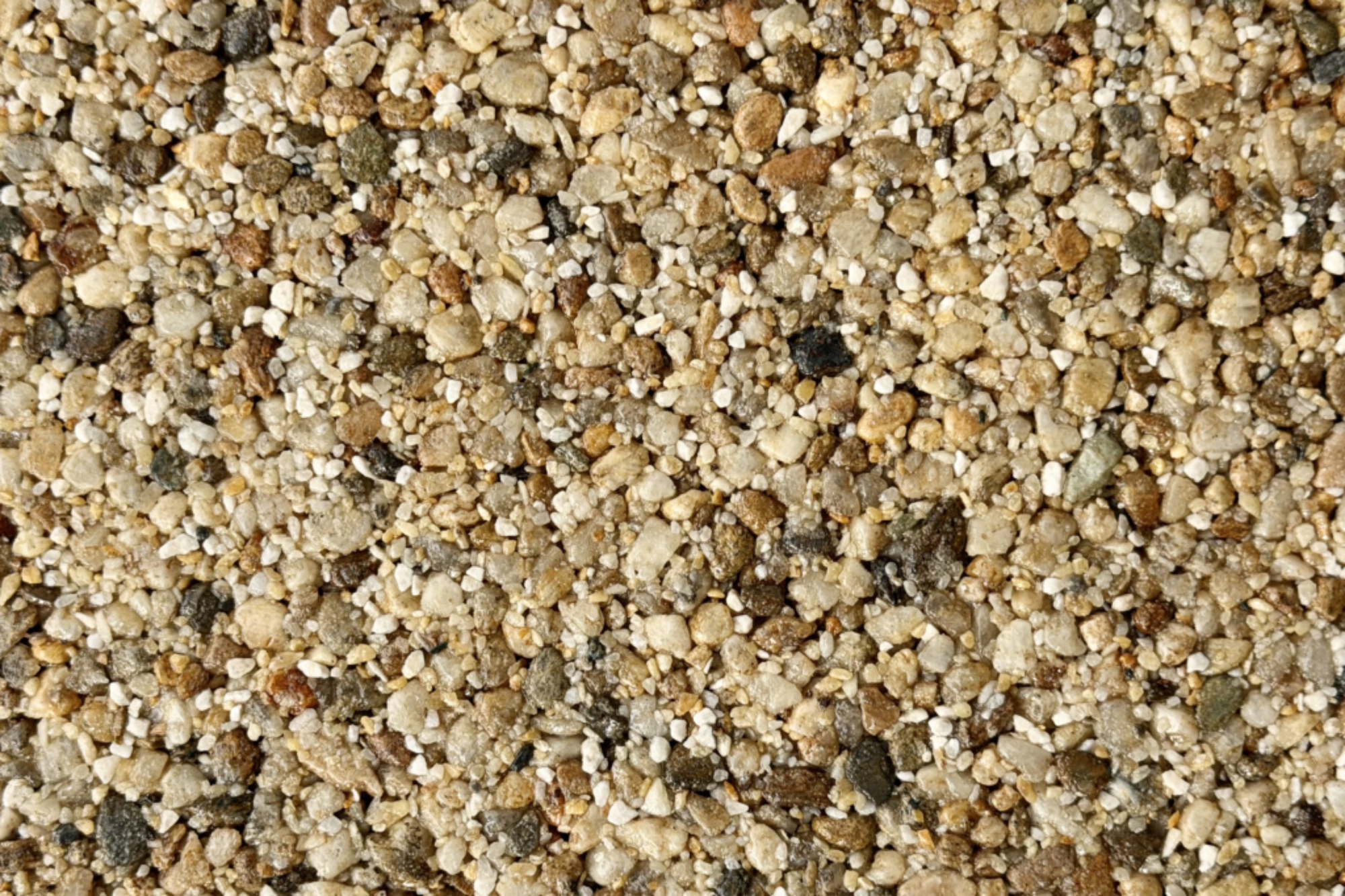 Dolorosa Sample