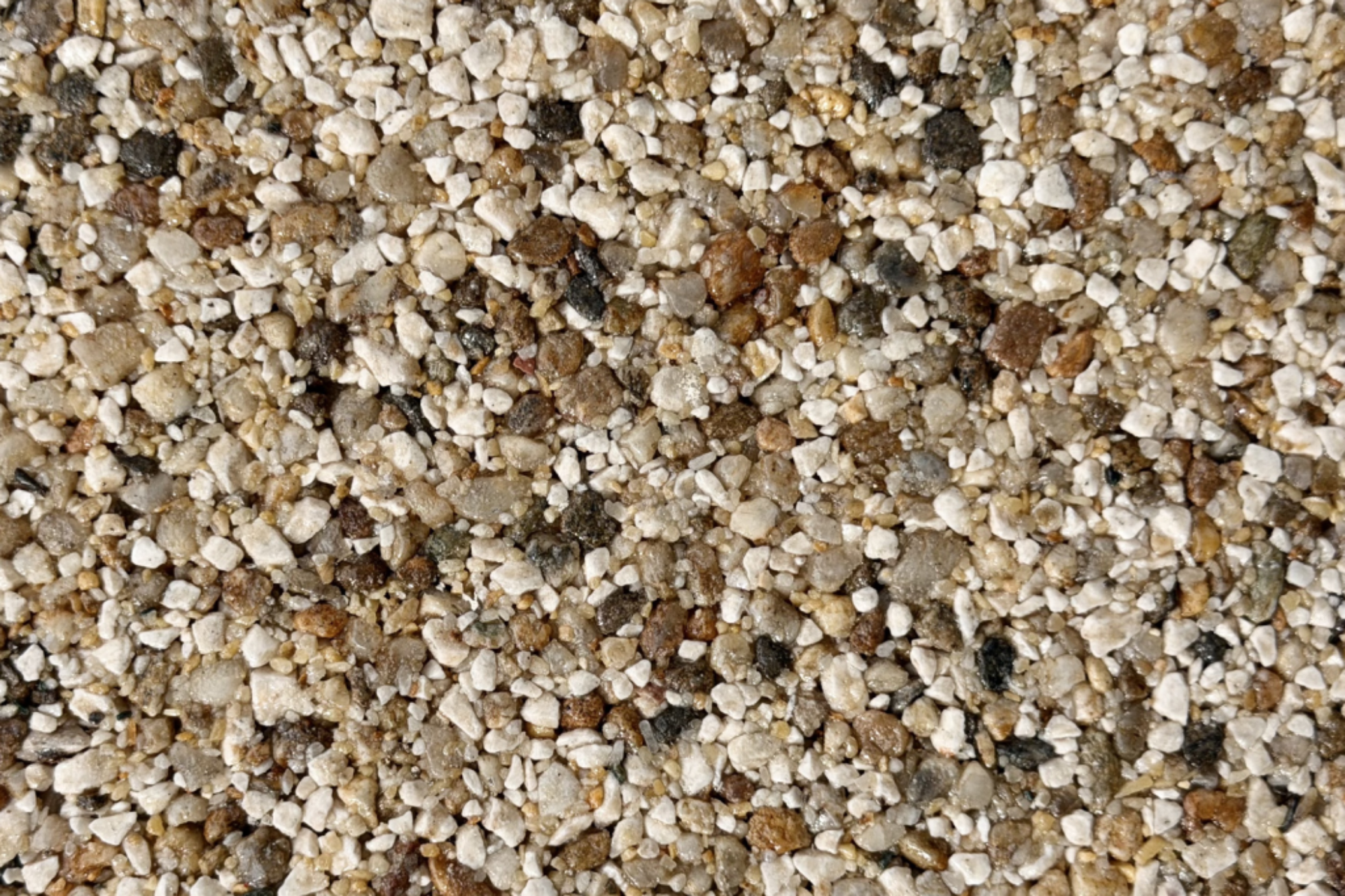 Bellegarde Sample