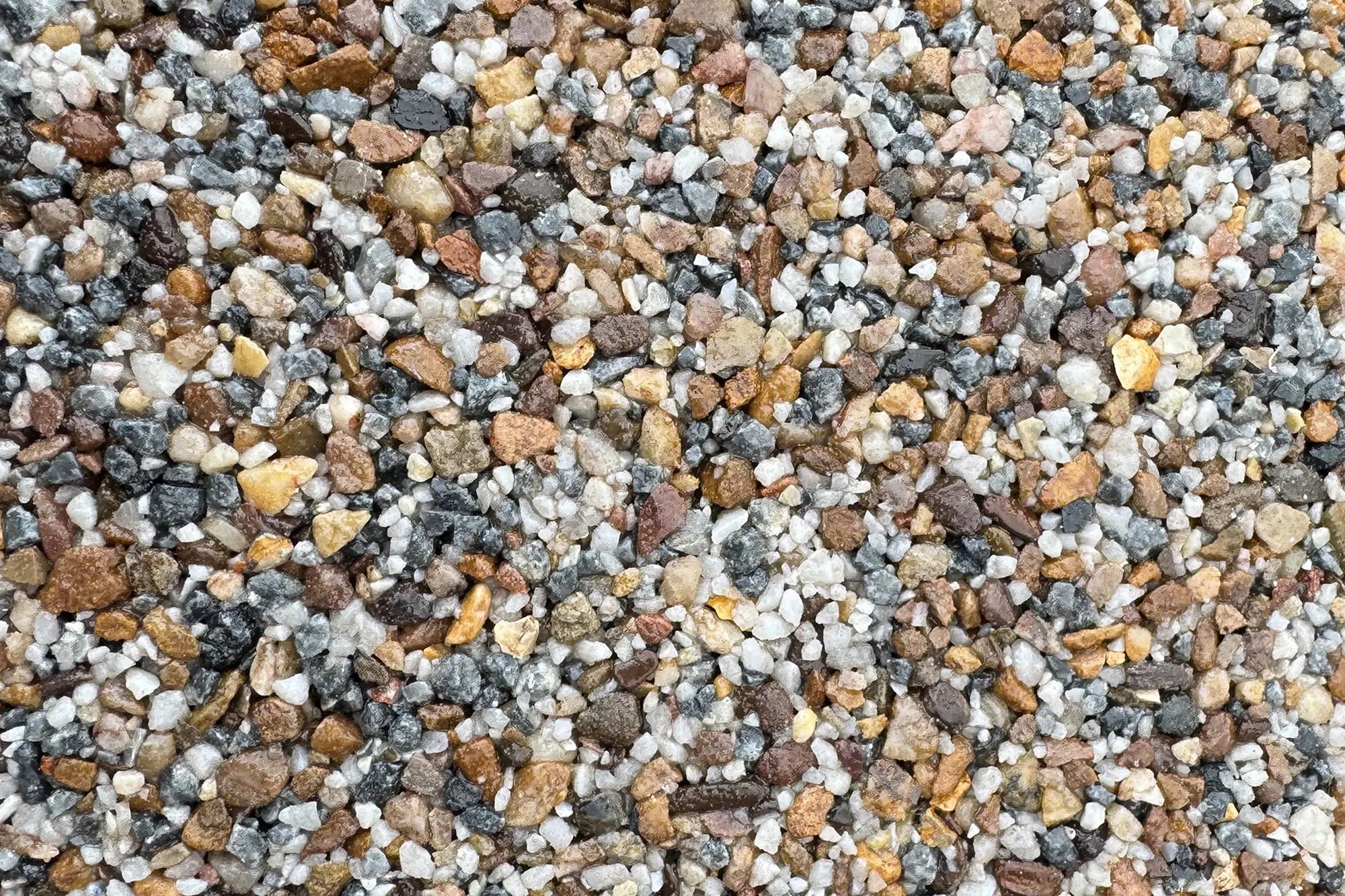 Patagonia Sample Vuba