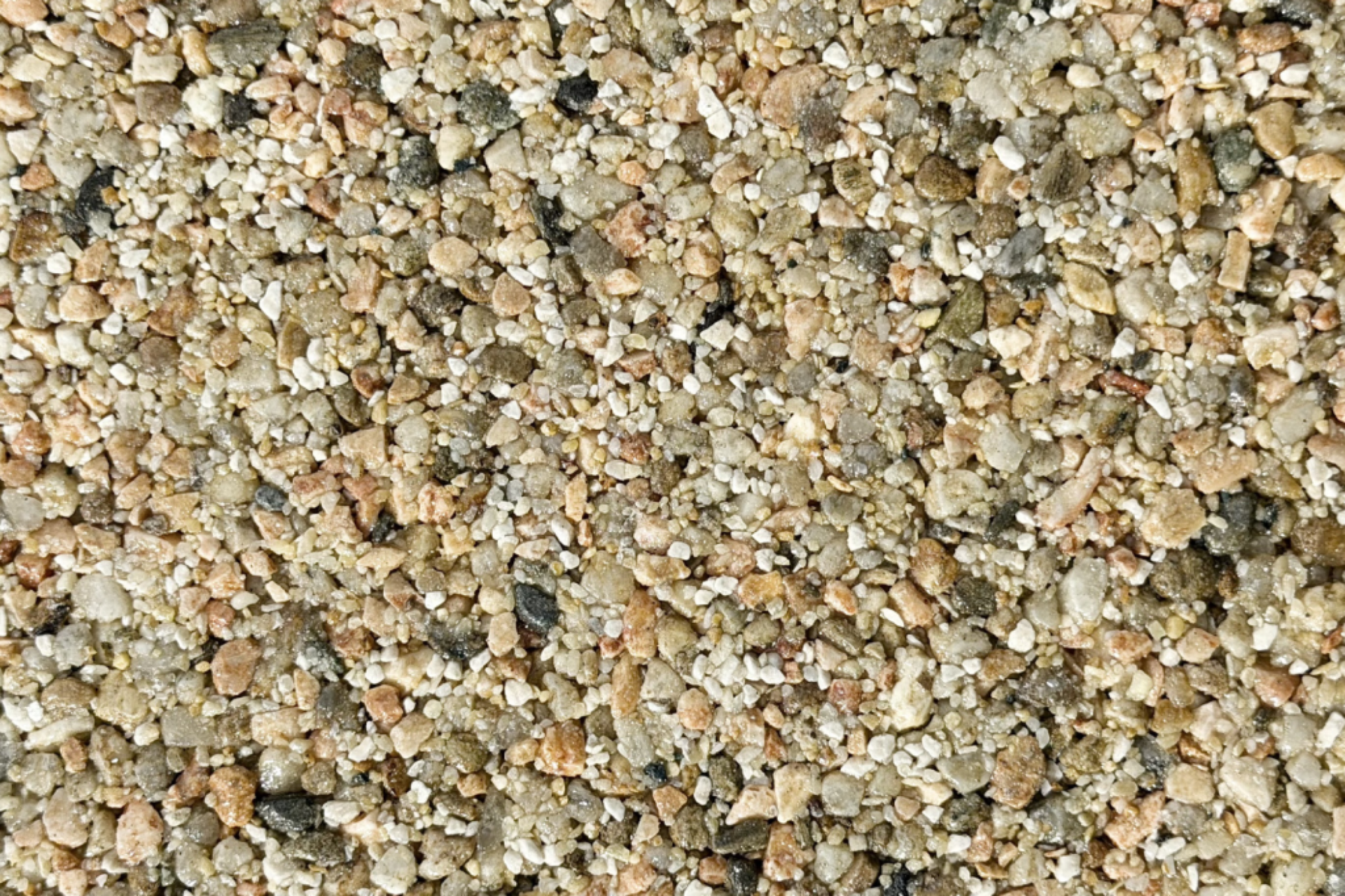 Winnipeg Sample