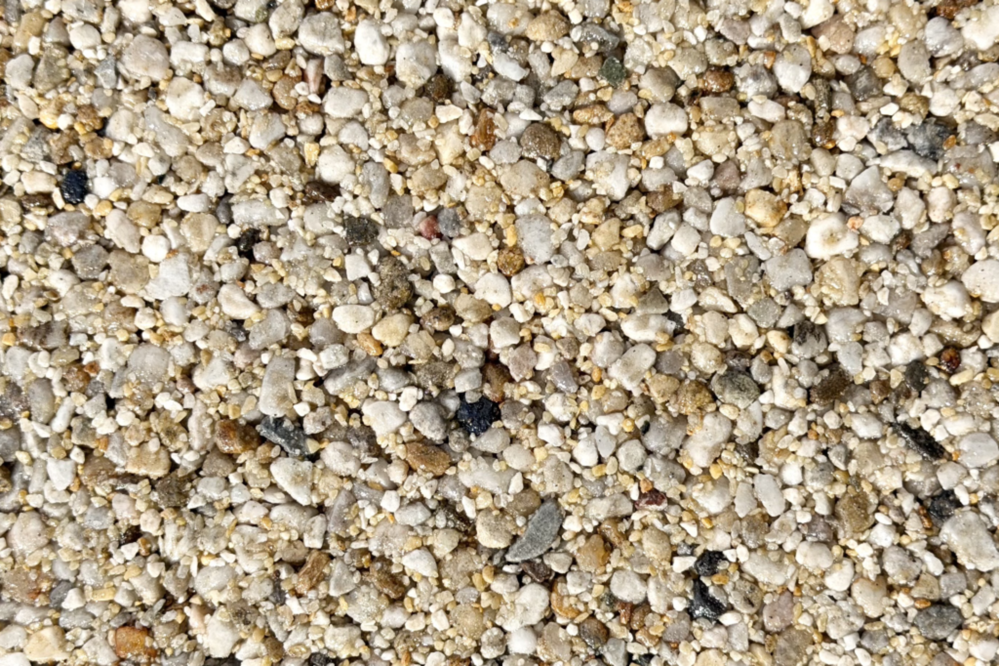 La Rochelle Sample