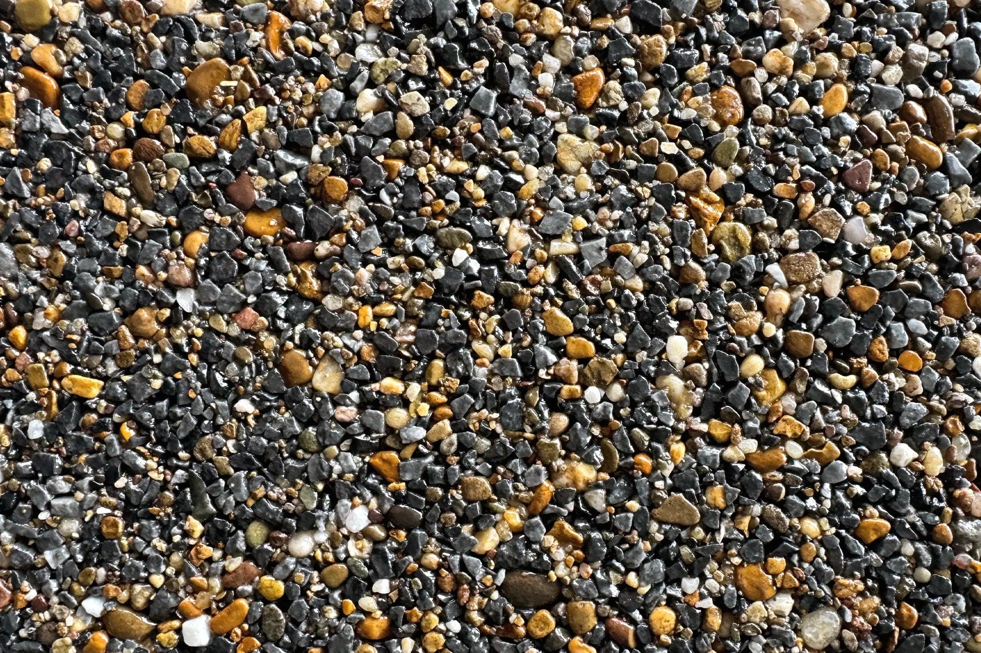 NEW Bastille Sample Vuba