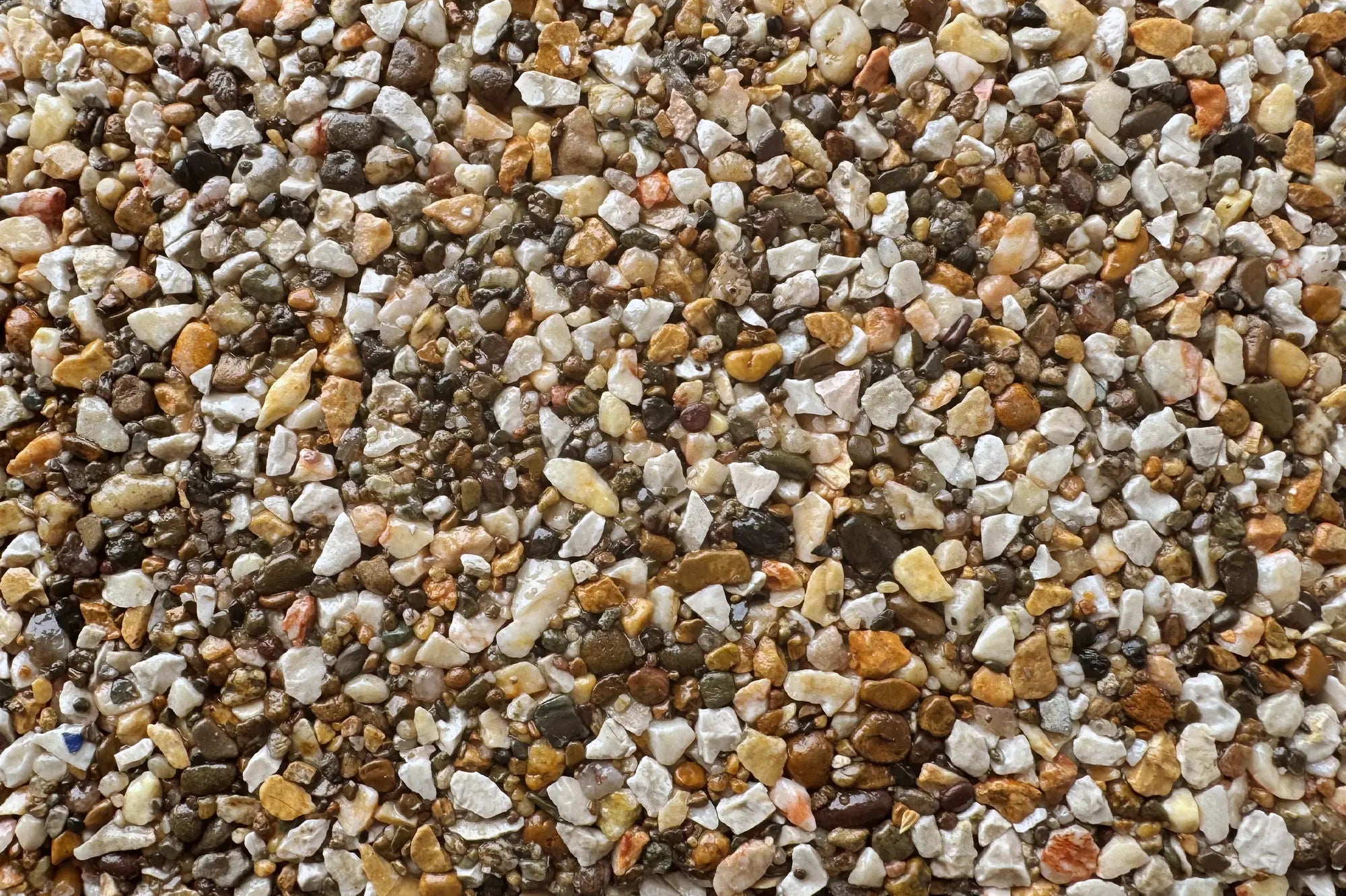 Bilsdon Park Sample Vuba