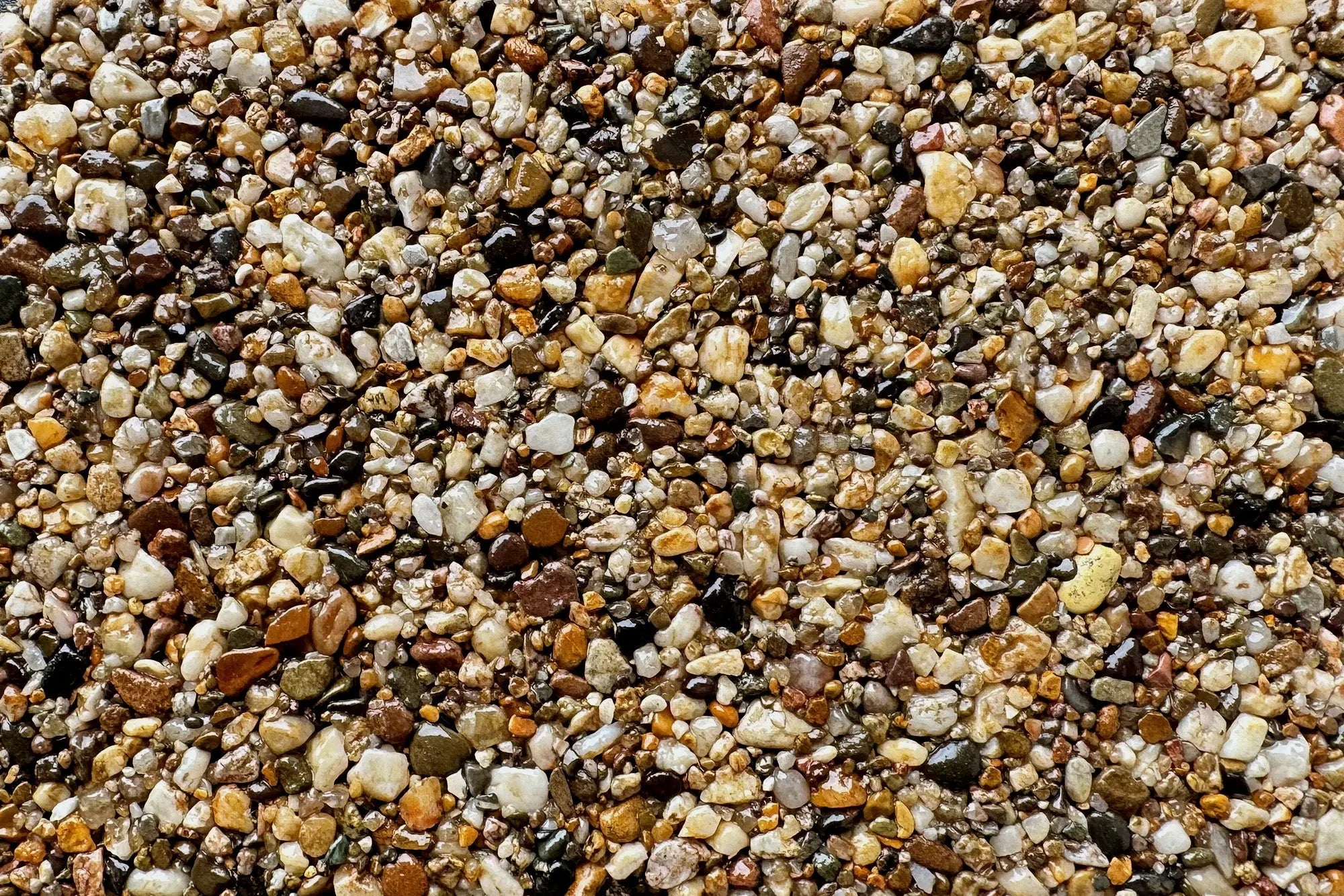 Canberra Sample Vuba