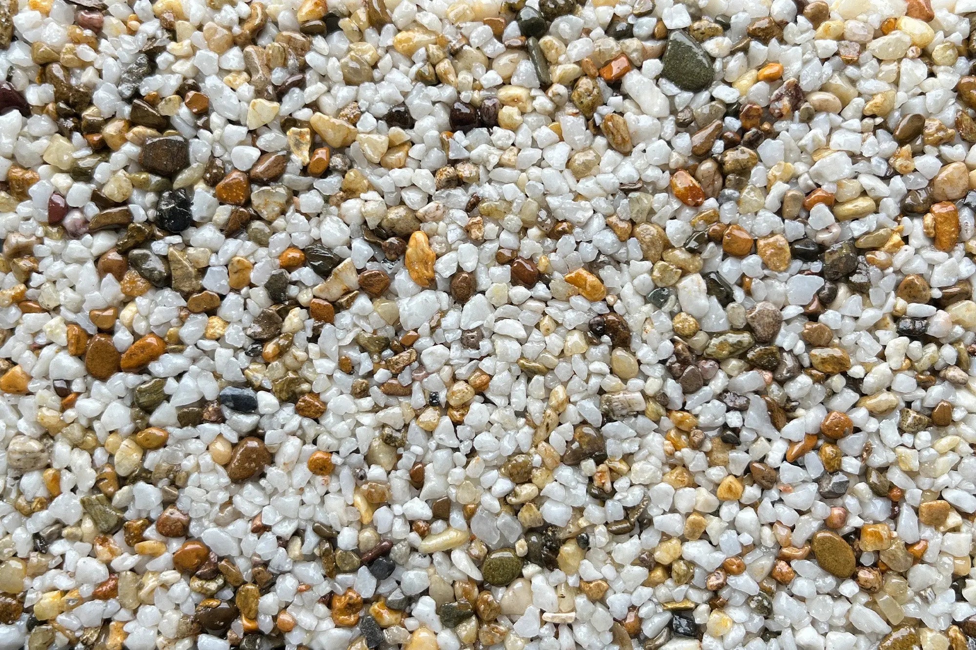 Cape Parry Sample Vuba