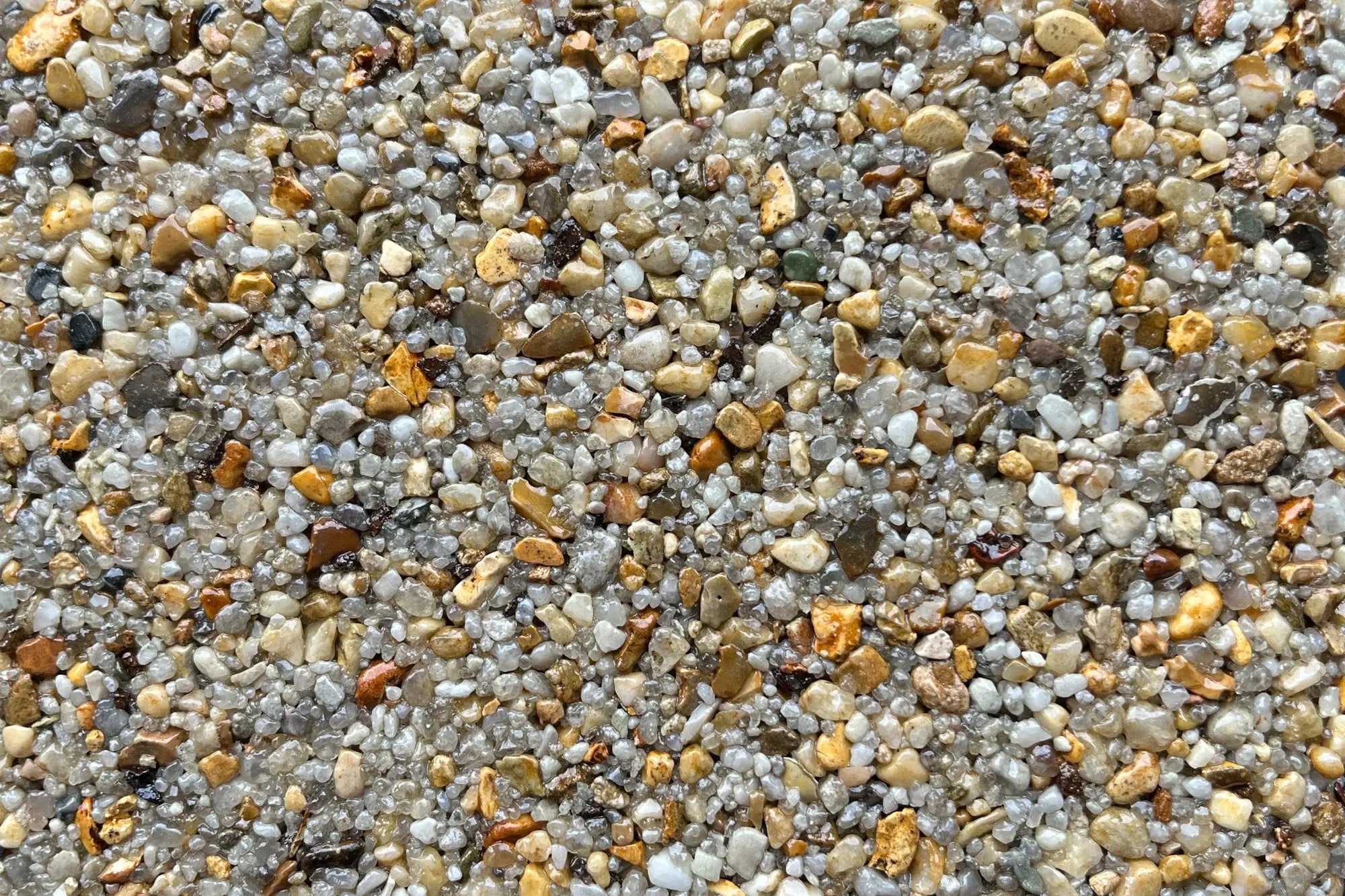 Cape Town Sample Vuba