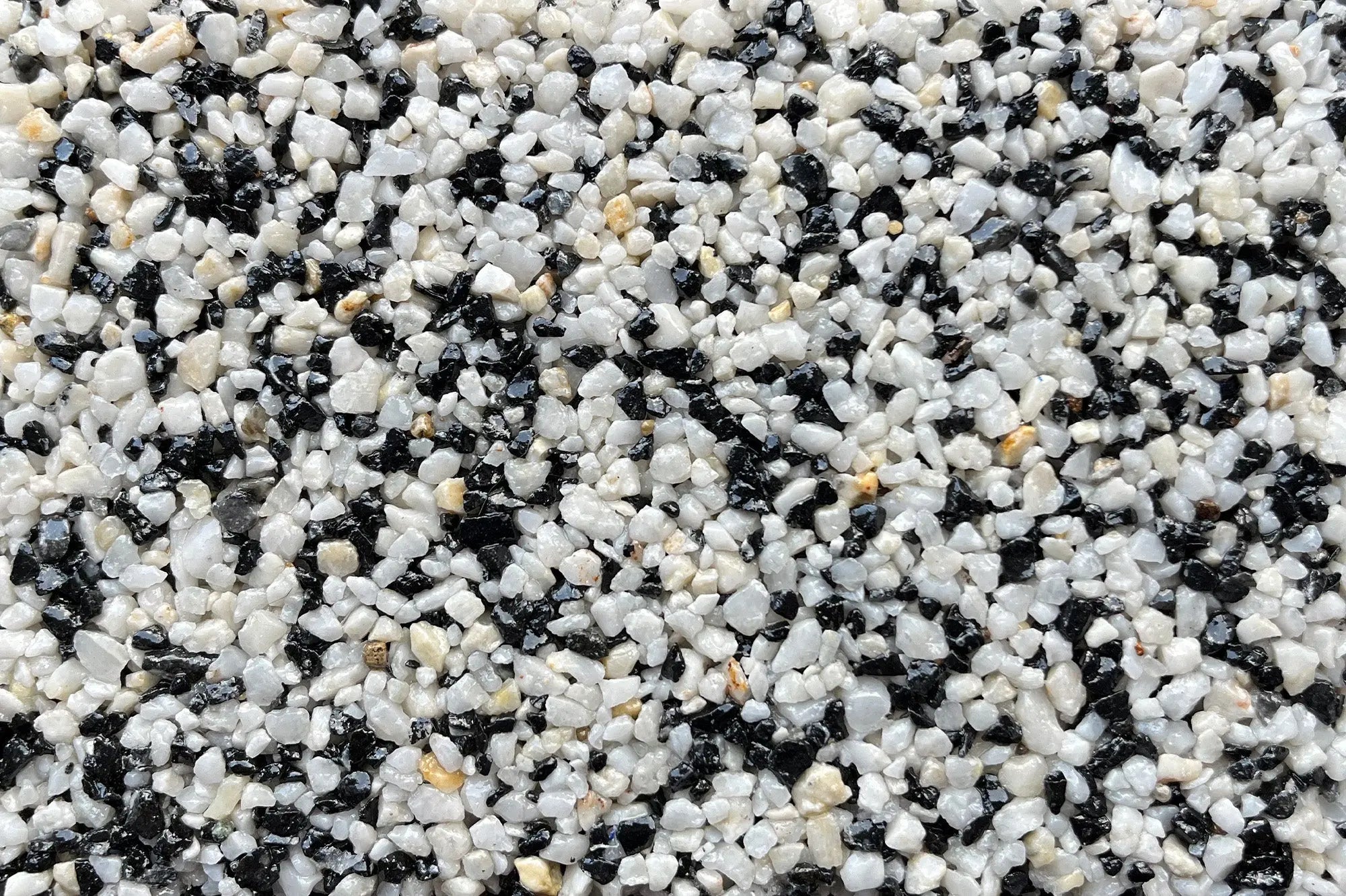 Casablanca Sample Vuba