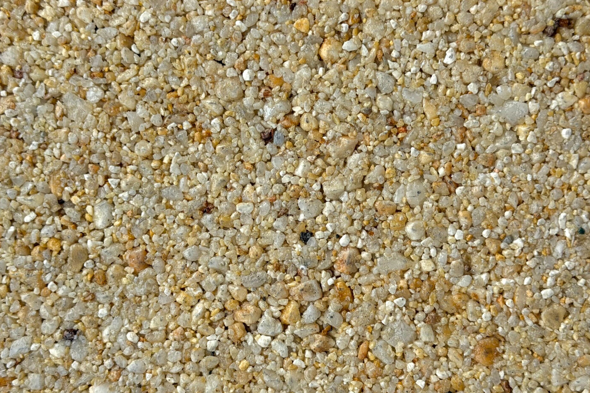 Cortina Sample