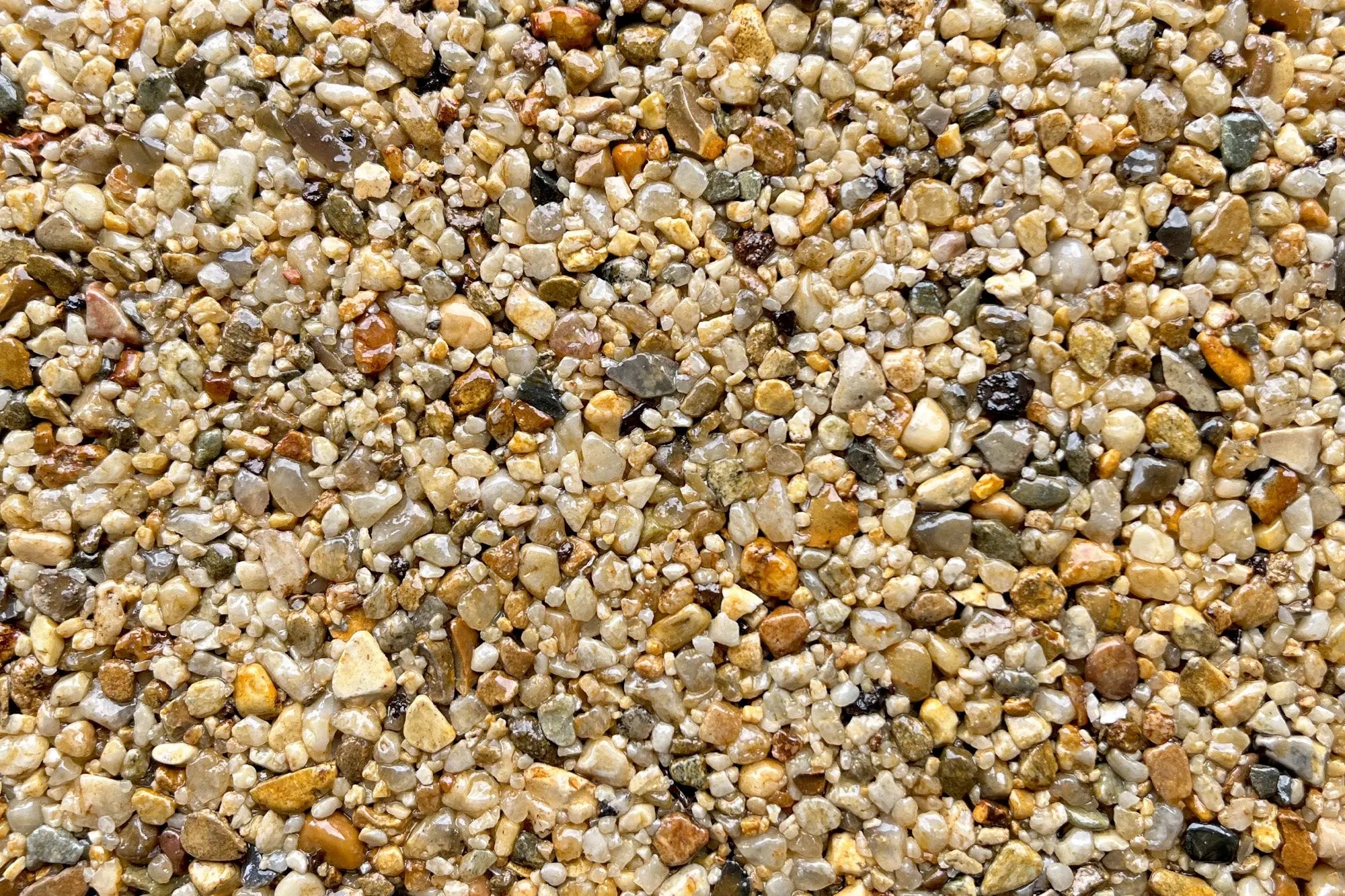 Dolorosa Sample Vuba