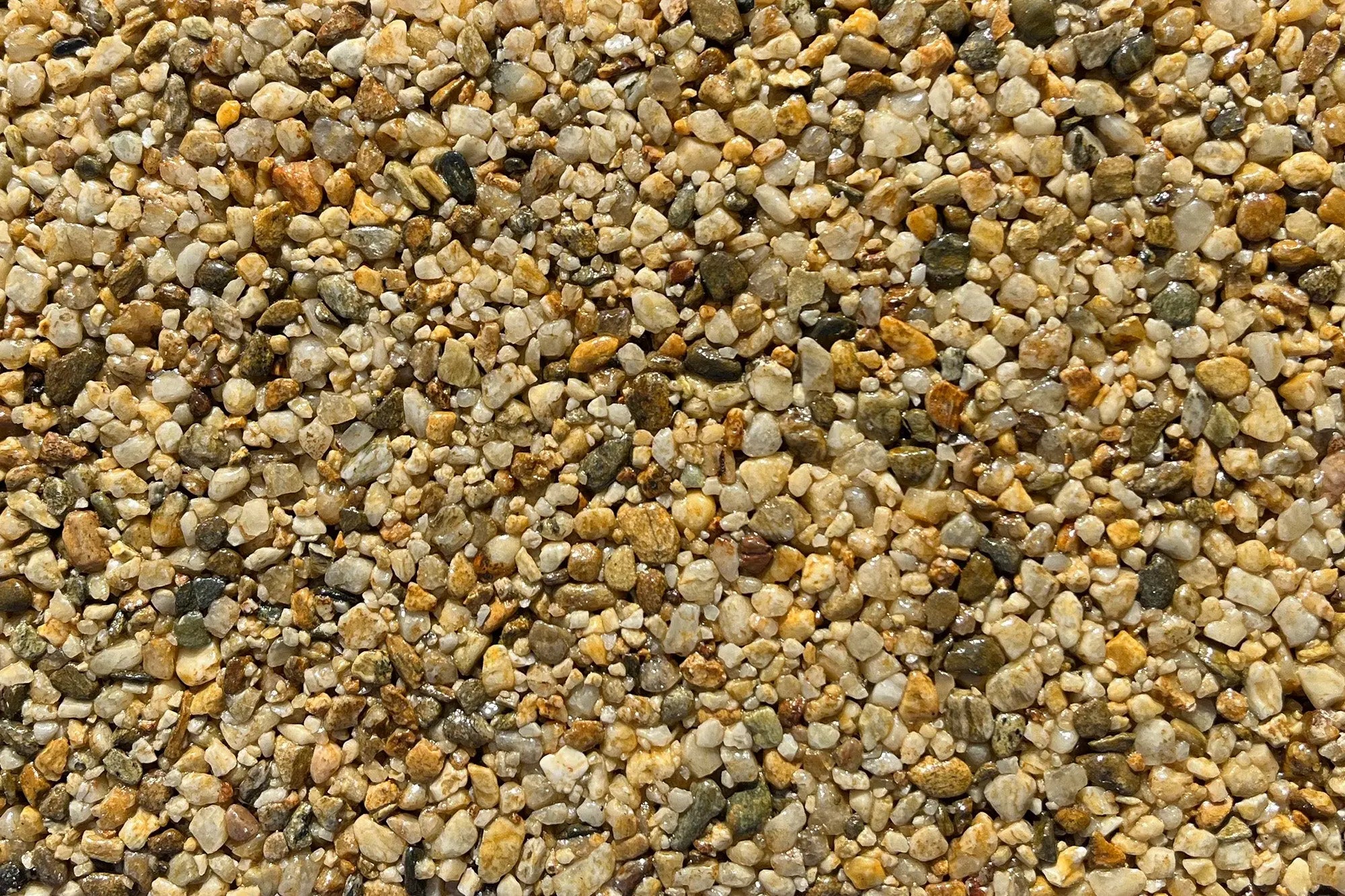 Fort Royal Sample Vuba