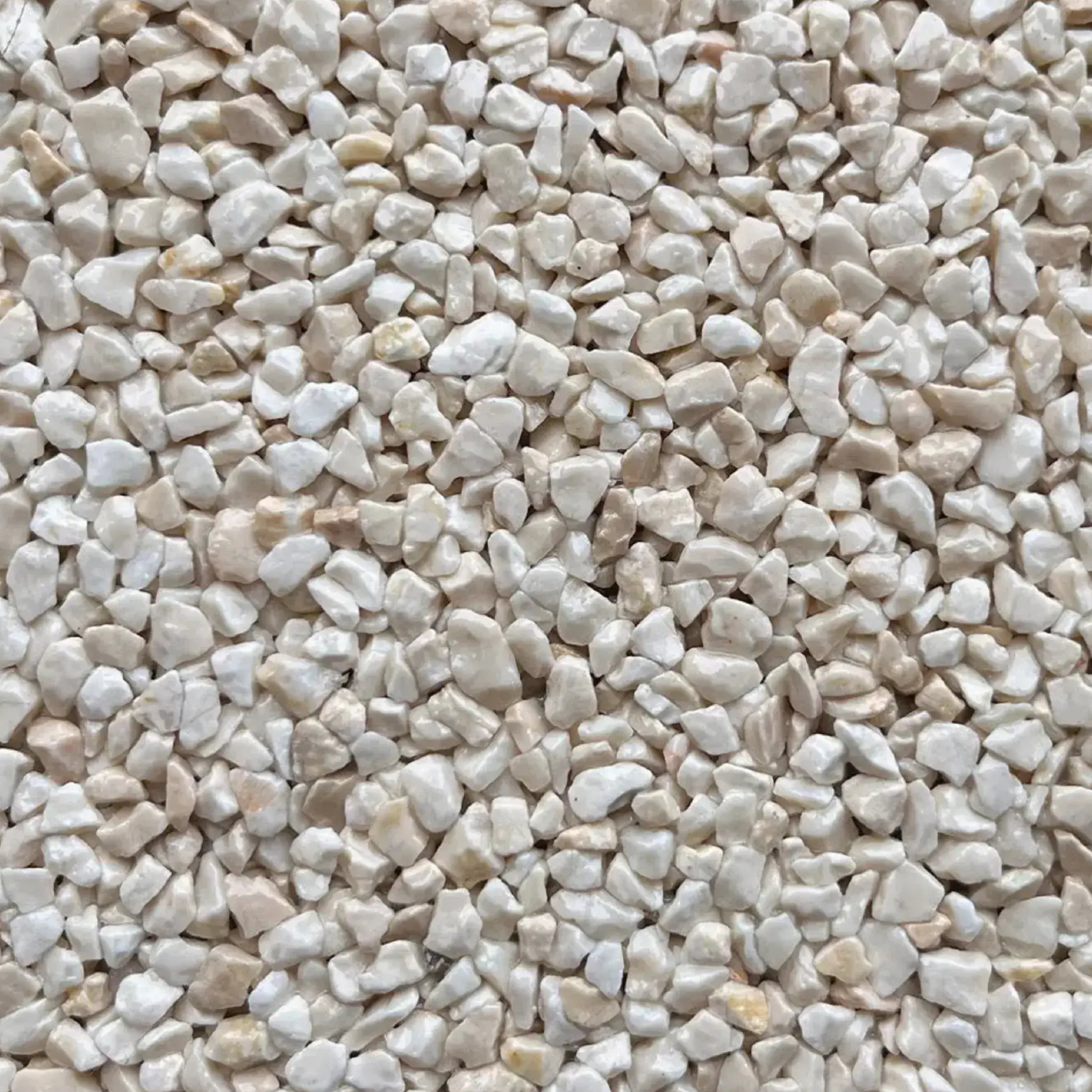 Ivory ProKit