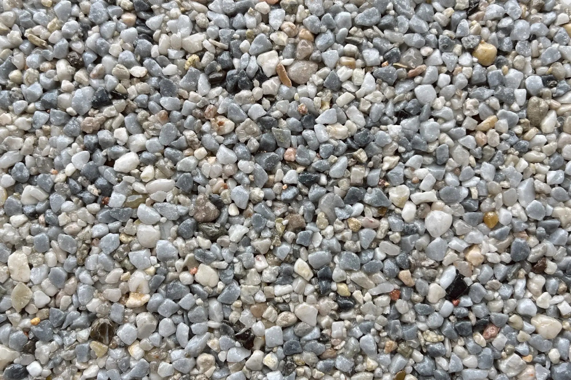 Kyoto Fall Sample Vuba