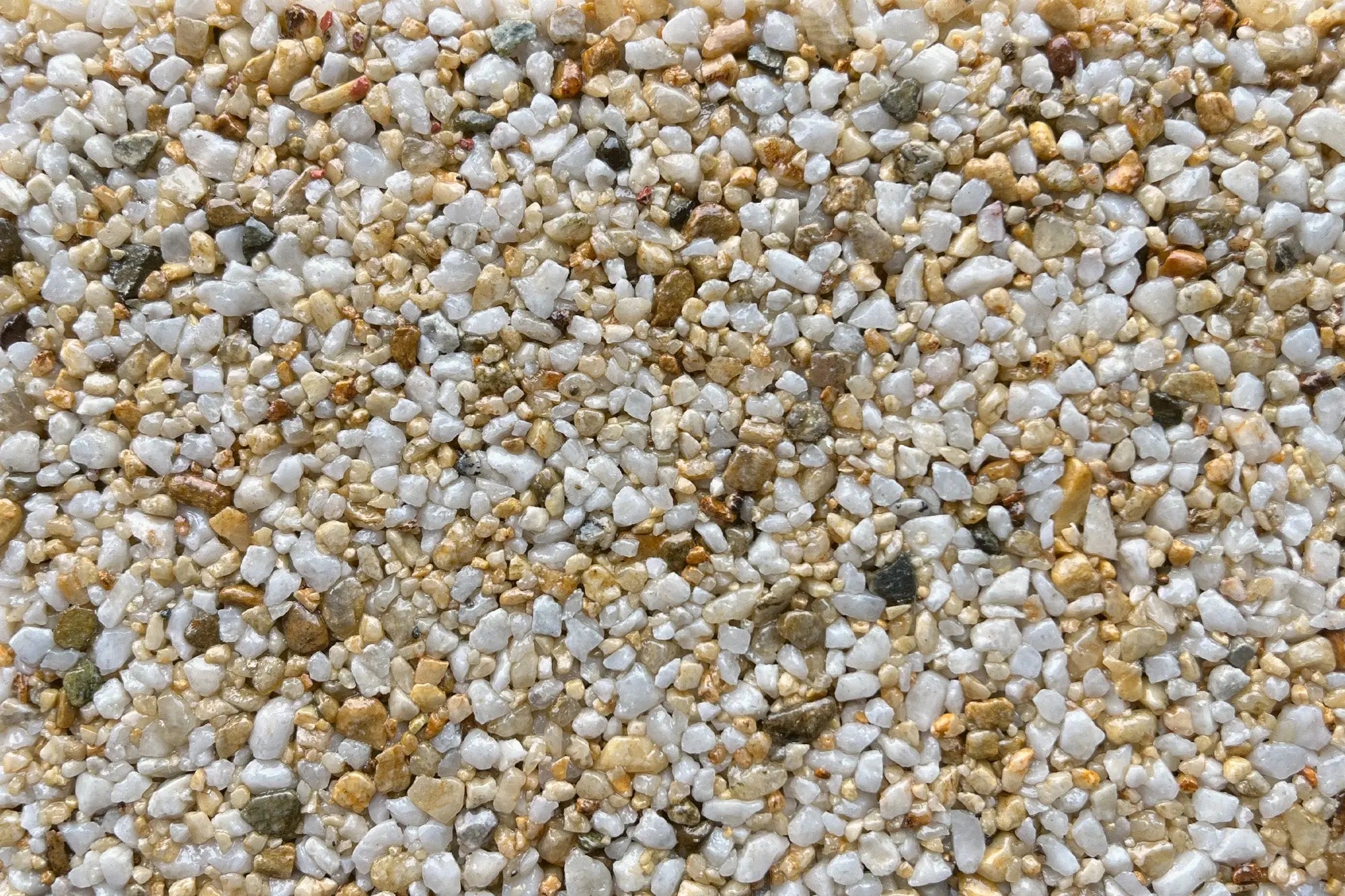 La Rochelle Sample Vuba