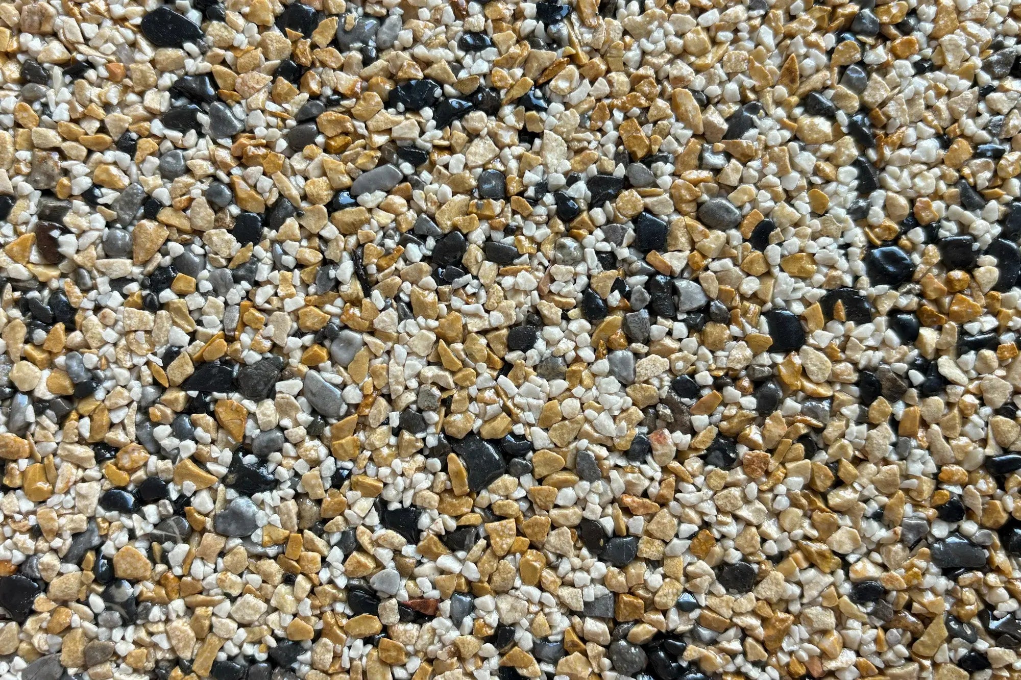 NEW Montecristo Vuba