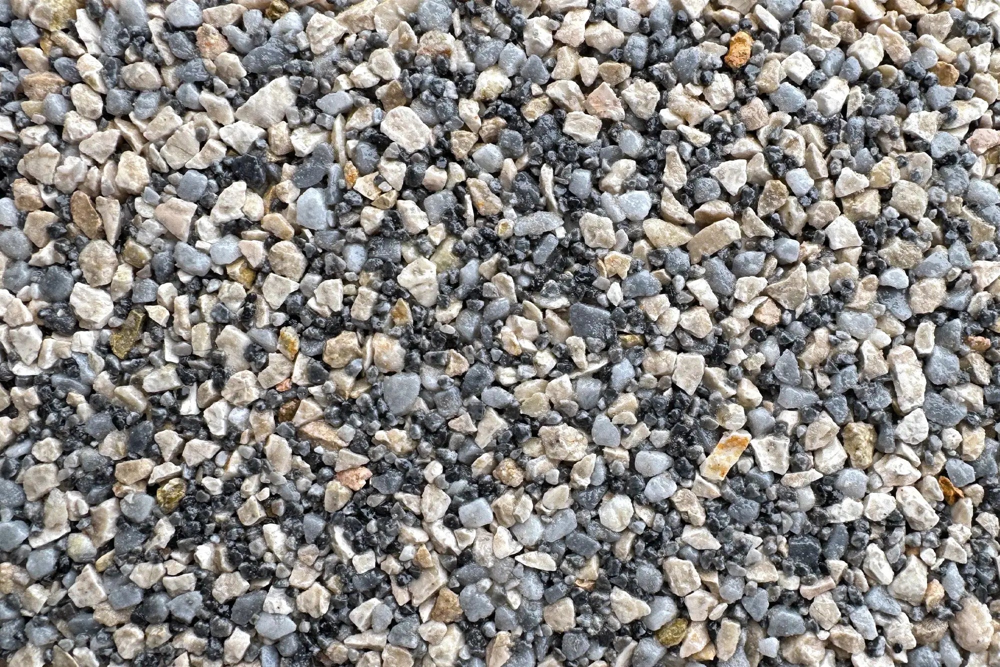 Notre Dame Sample Vuba