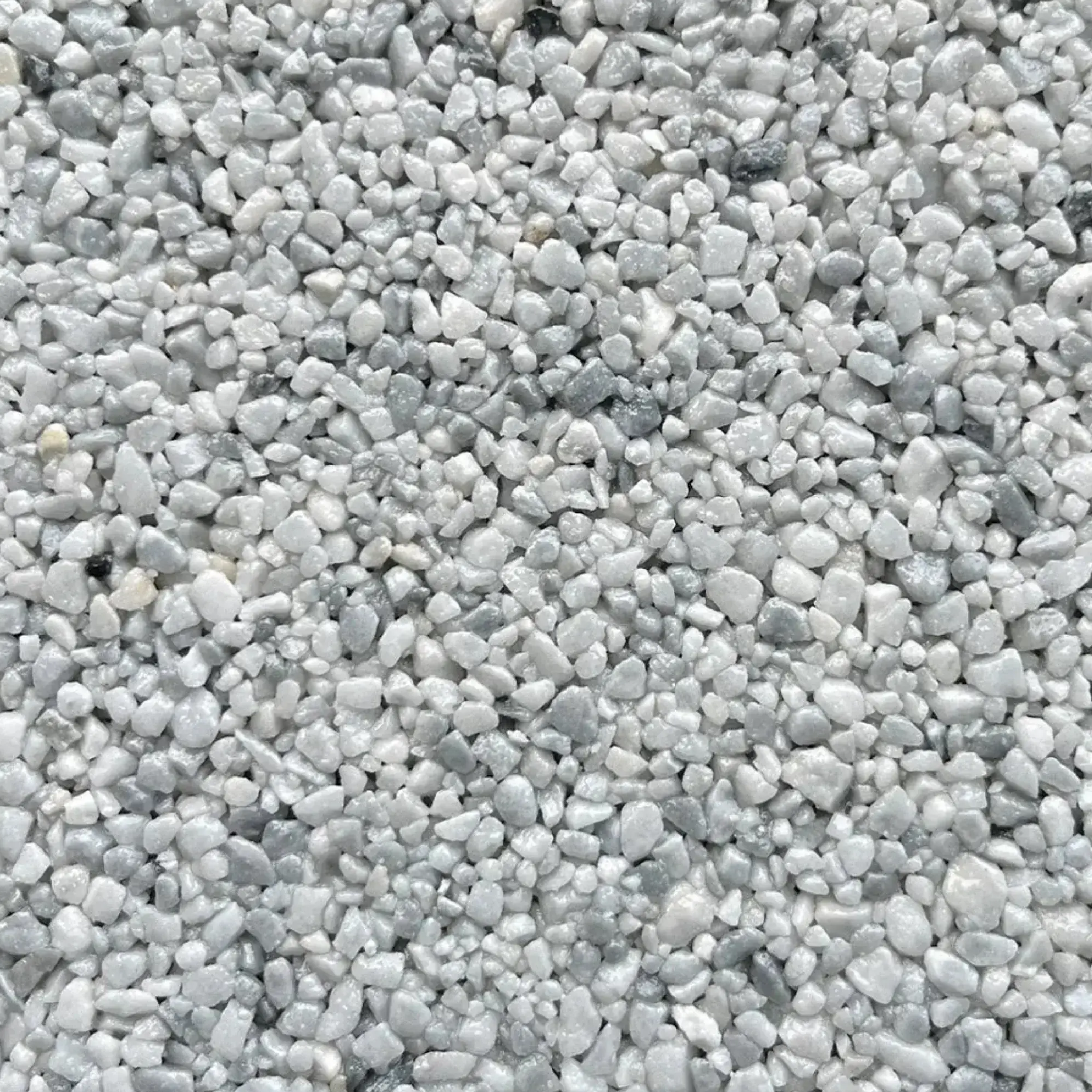 Paloma ProKit
