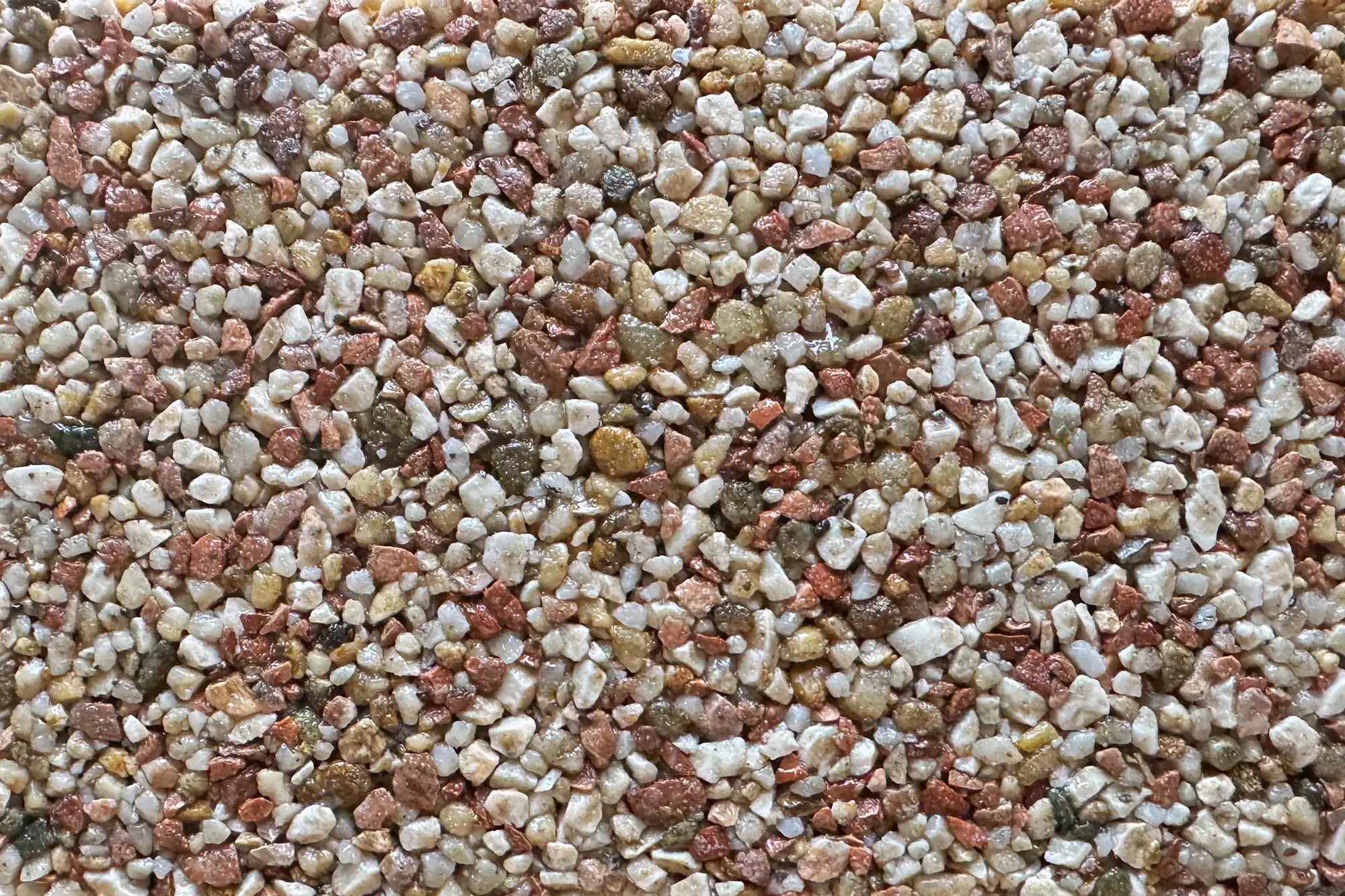 River Yamuna Sample Vuba