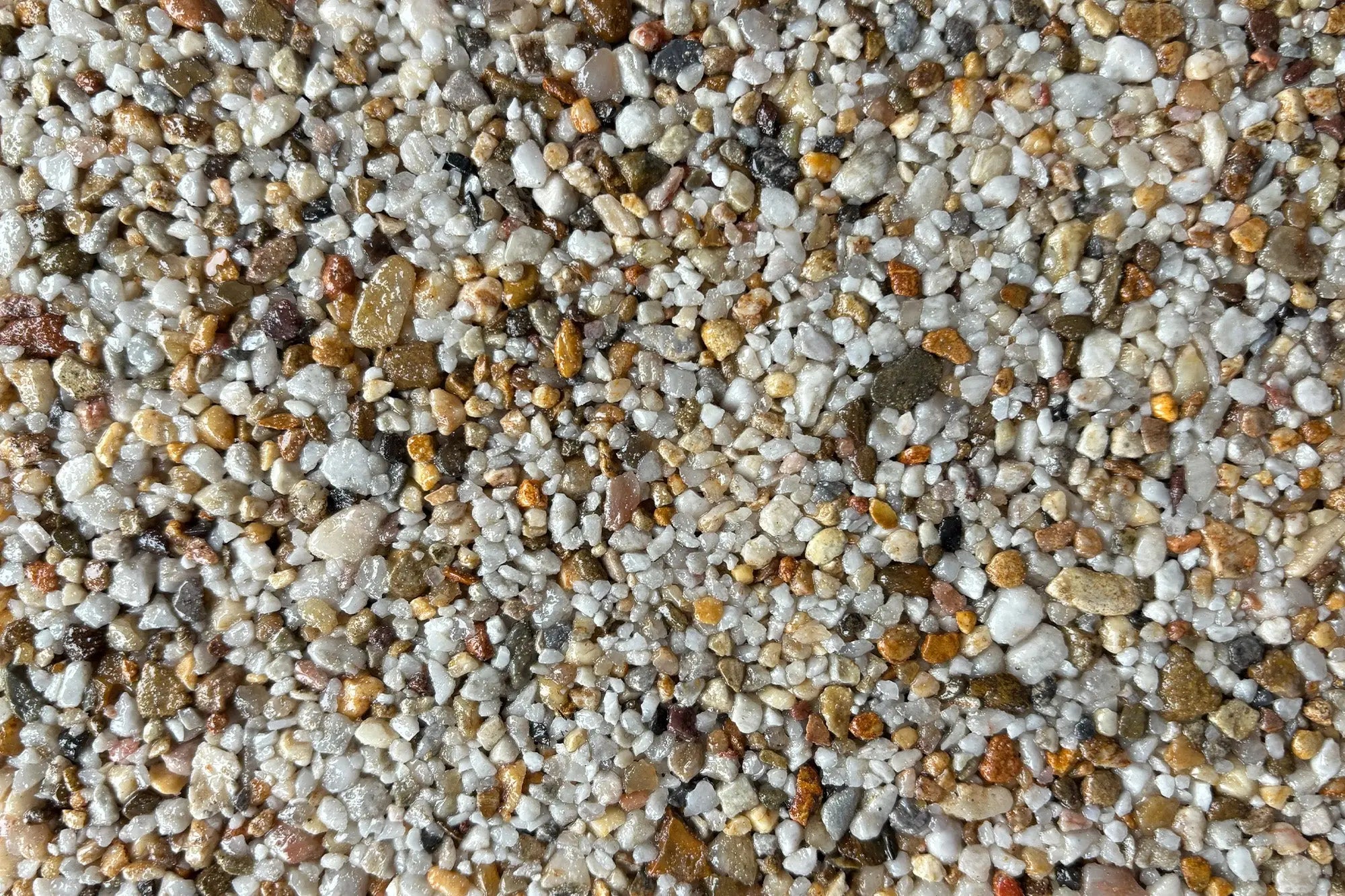 Saint Michael Sample Vuba