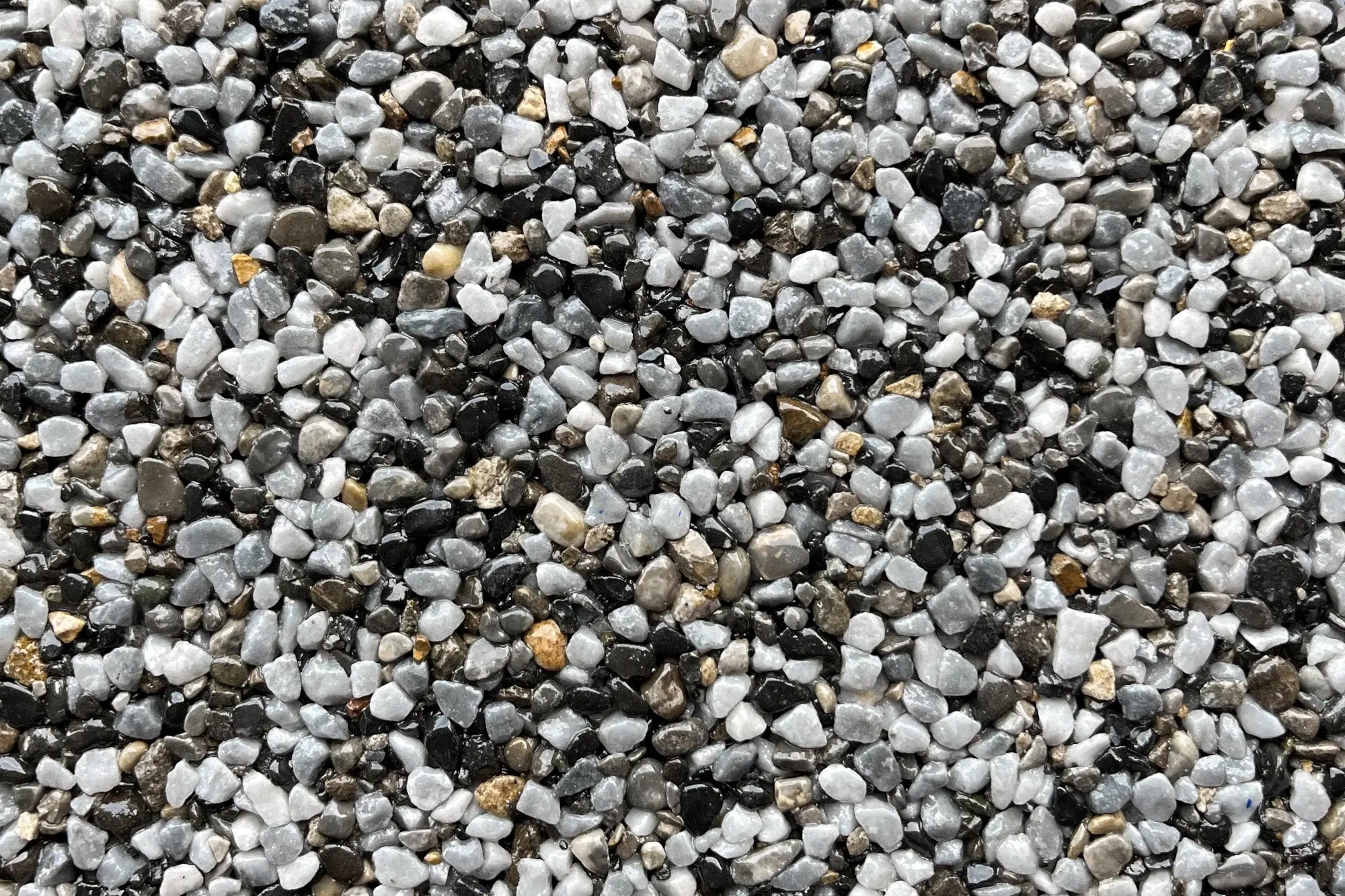 Silverstrand Sample Vuba