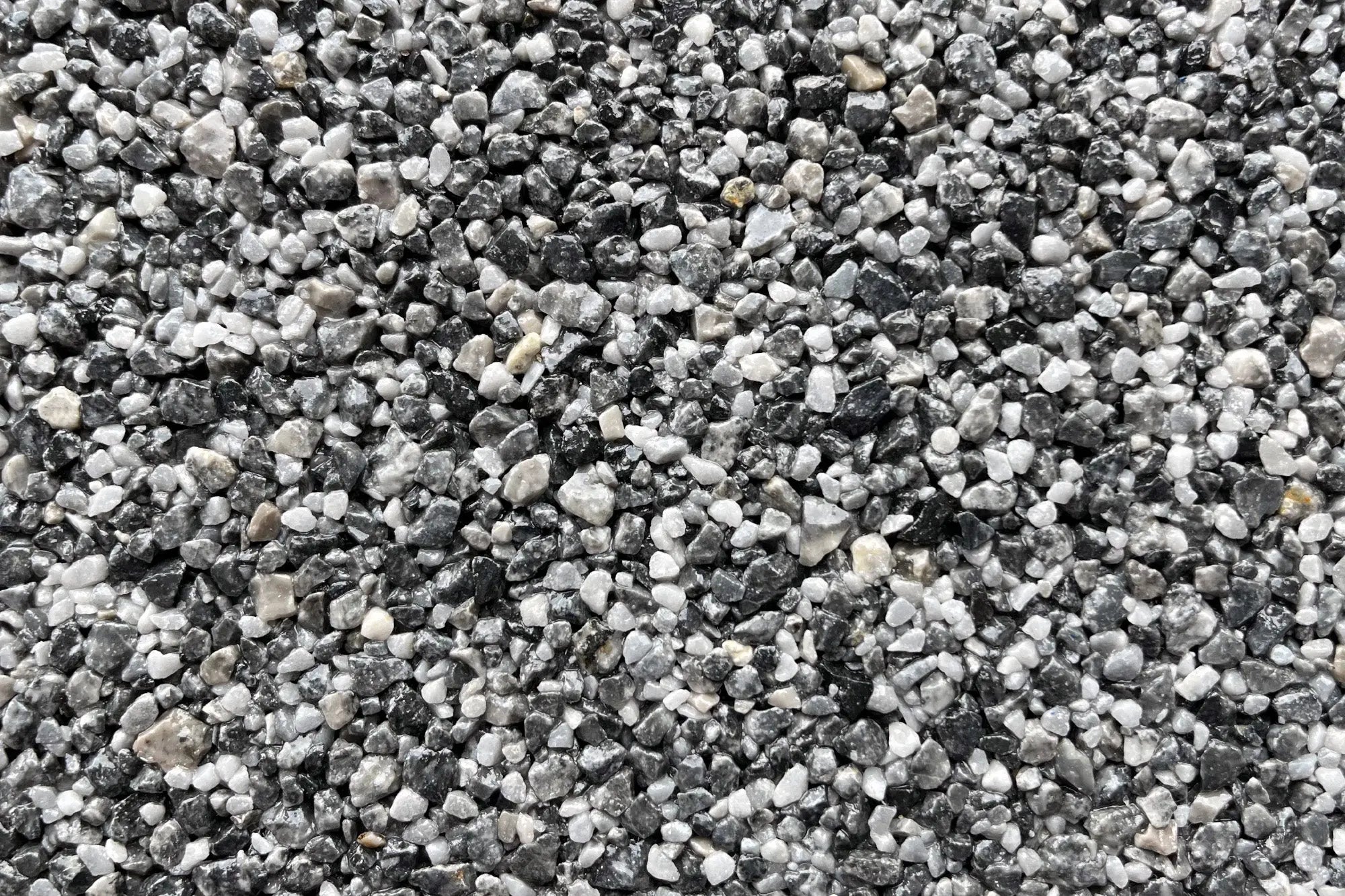 Sydney Harbour Sample Vuba