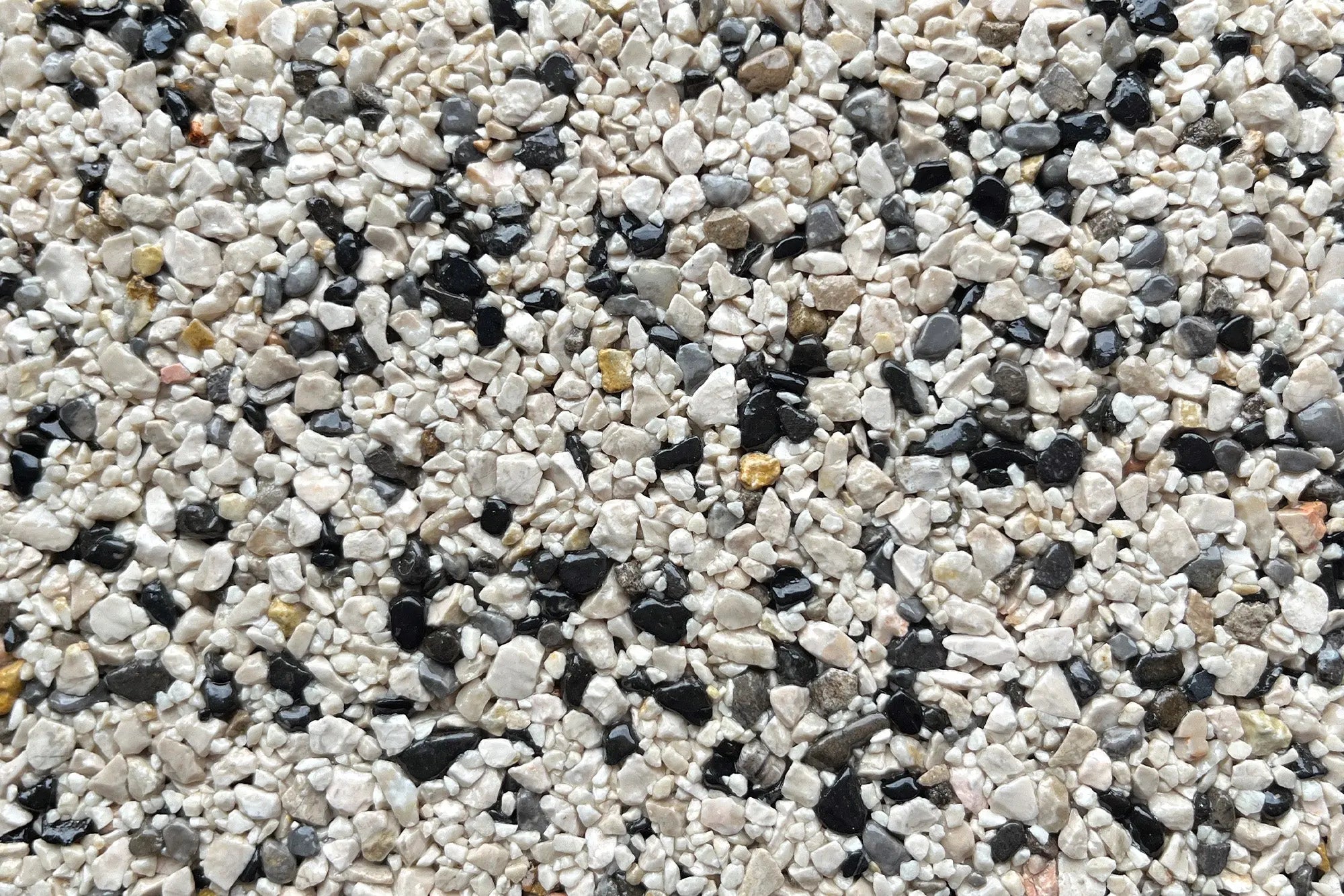 The Basilica Sample Vuba