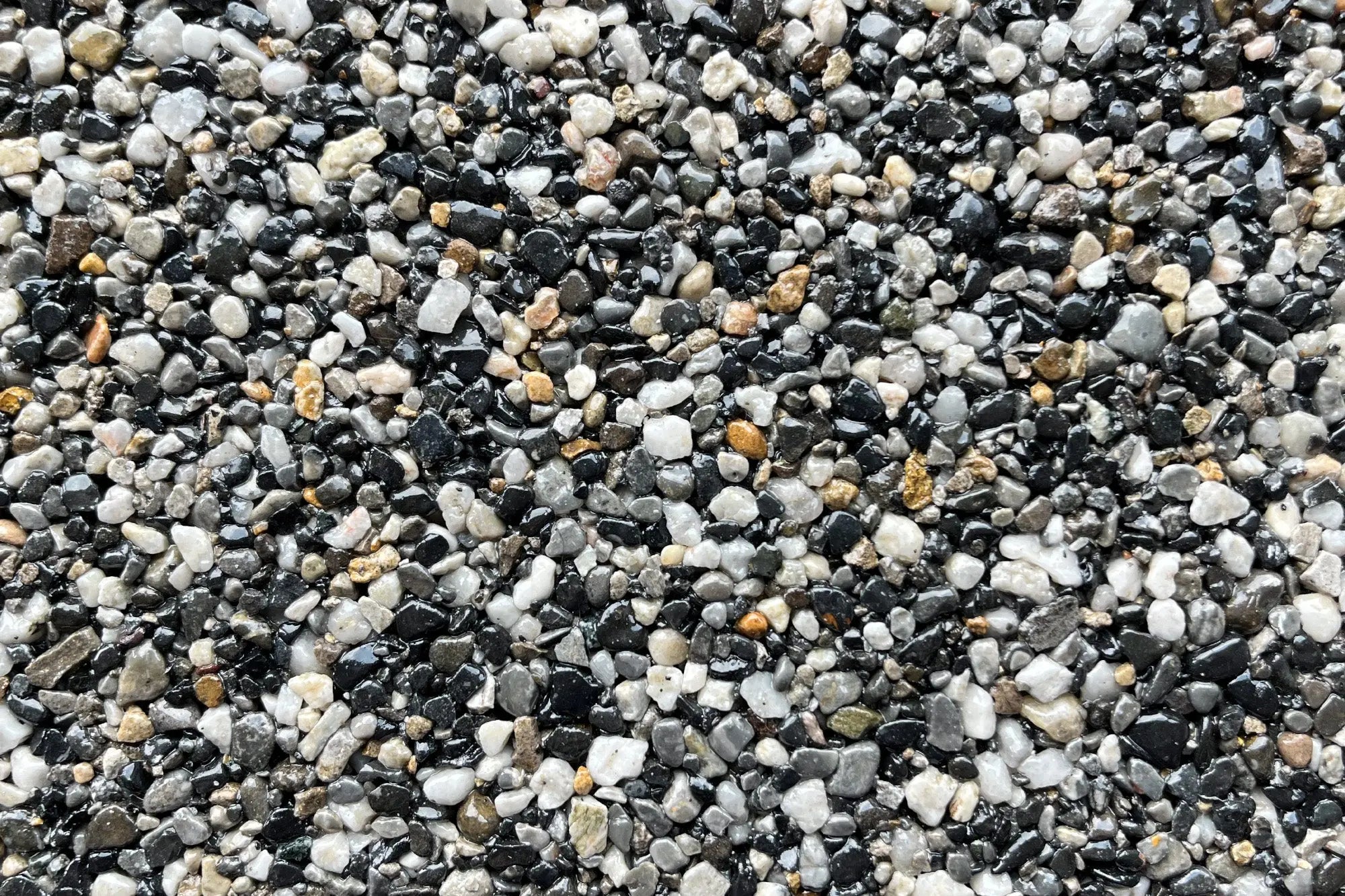 Trafalgar Sample Vuba