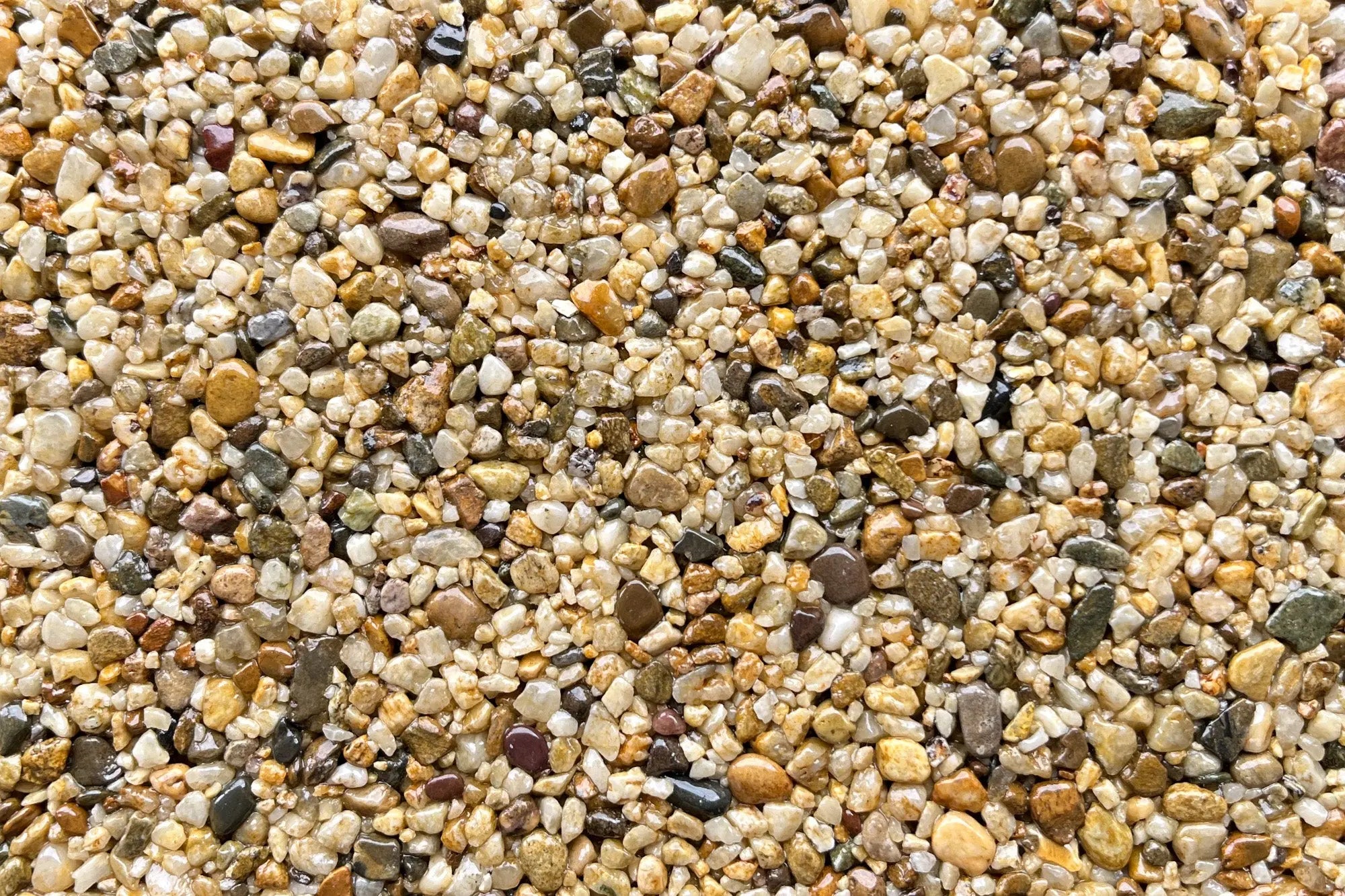 Vernazza Sample Vuba