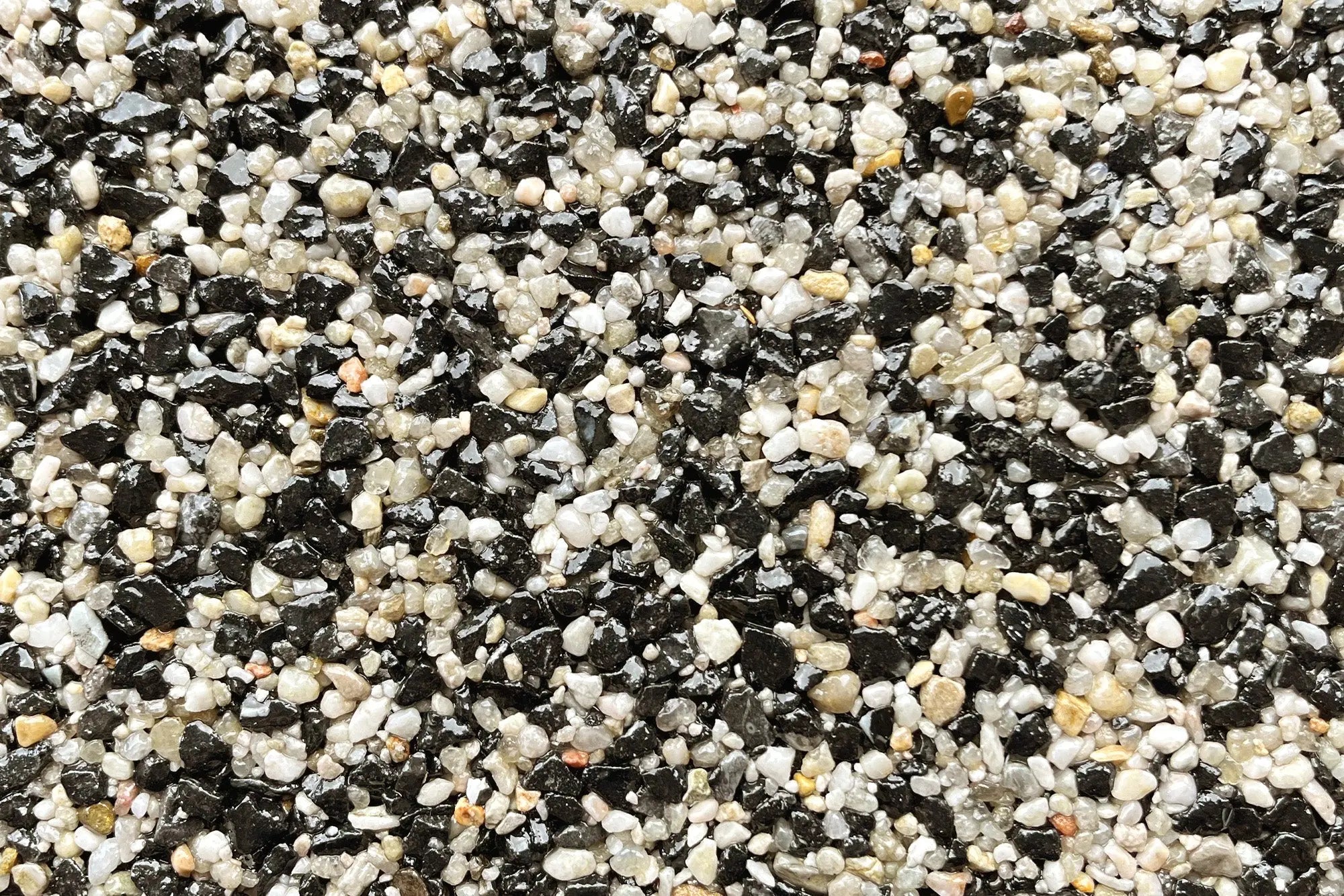 Westminster Sample Vuba