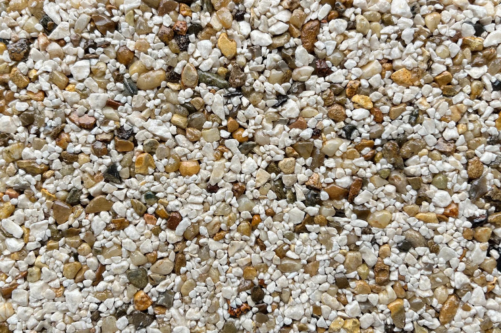 Whitstable Sample Vuba