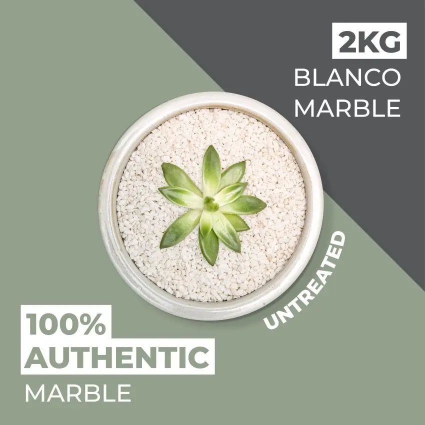 Natural World Rock Plant Topper Stones 2kg - Blanco Marble Vuba