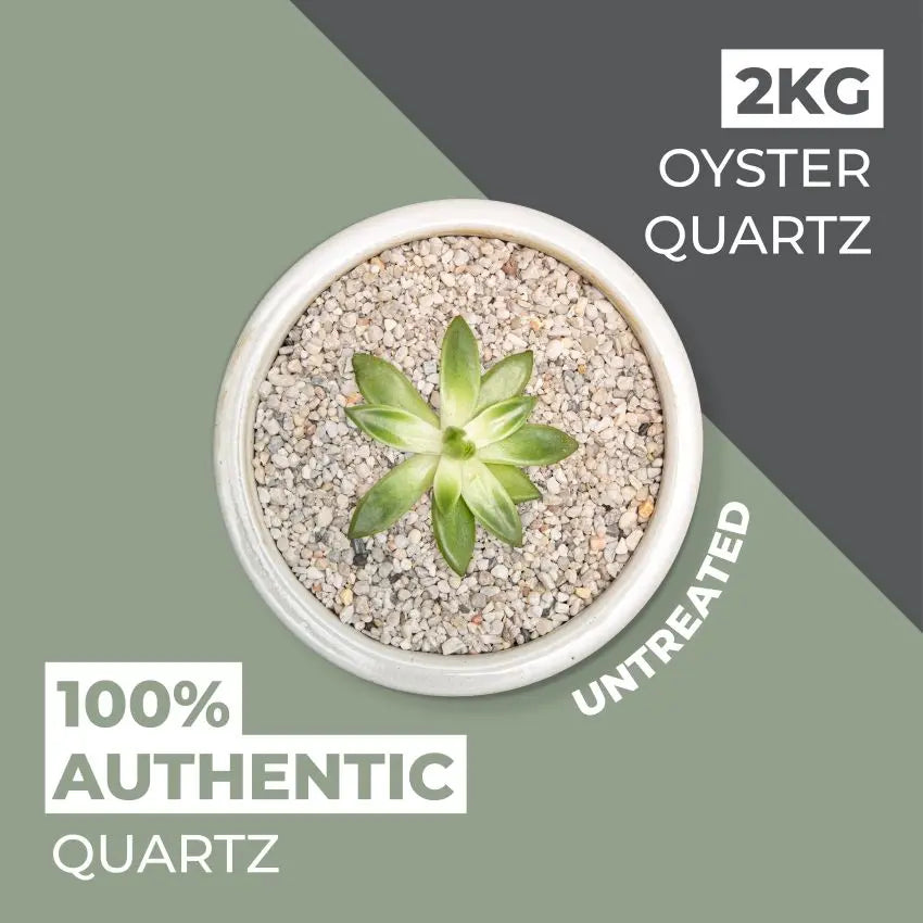 Natural World Rock Plant Topper Stones 2kg - Oyster Quartz Vuba