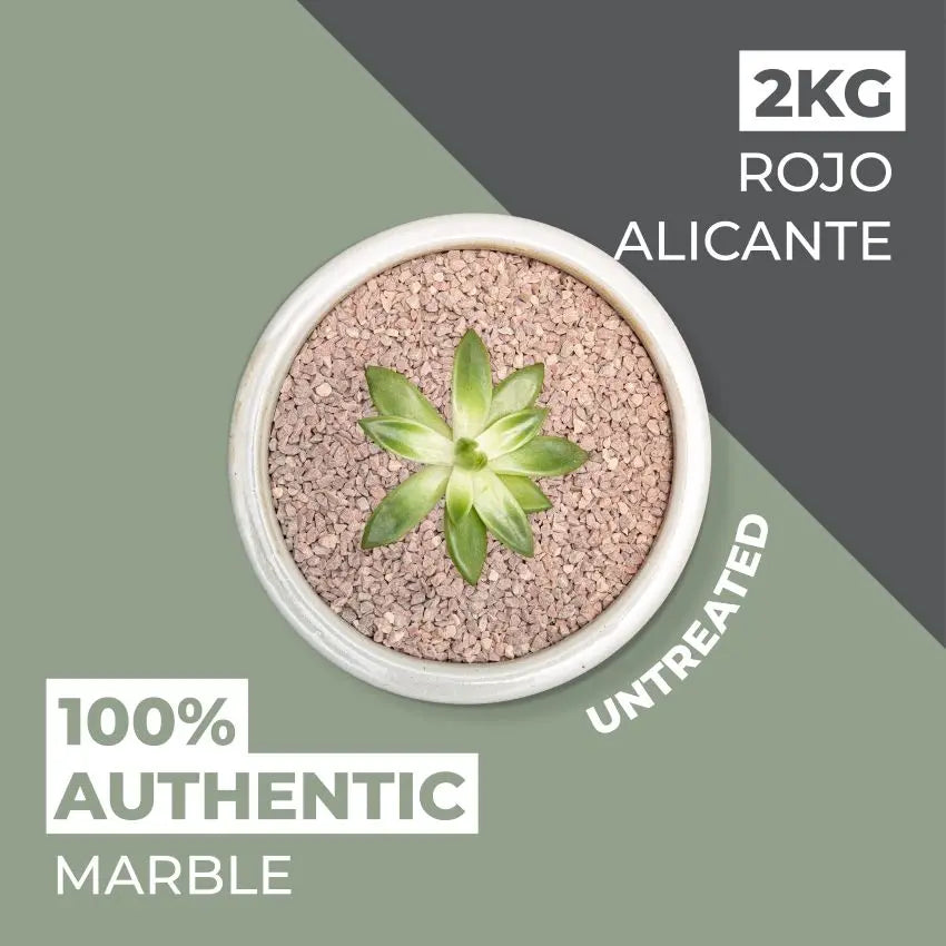 Natural World Rock Plant Topper Stones 2kg - Rojo Alicante Vuba