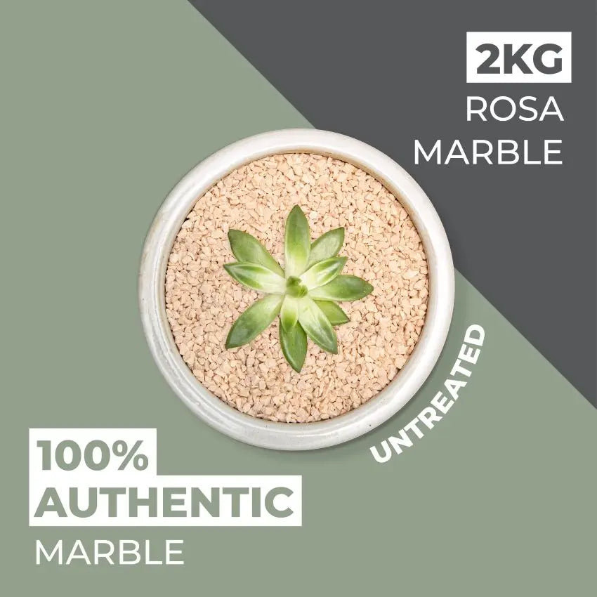 Natural World Rock Plant Topper Stones 2kg - Rosa Valencia Vuba