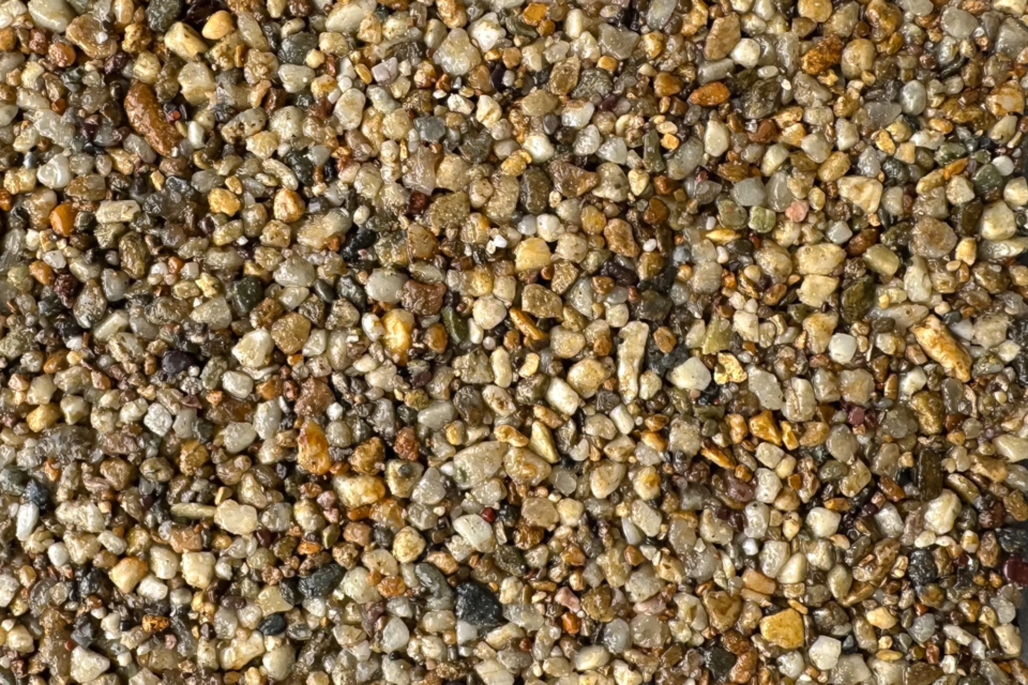Canberra Sample