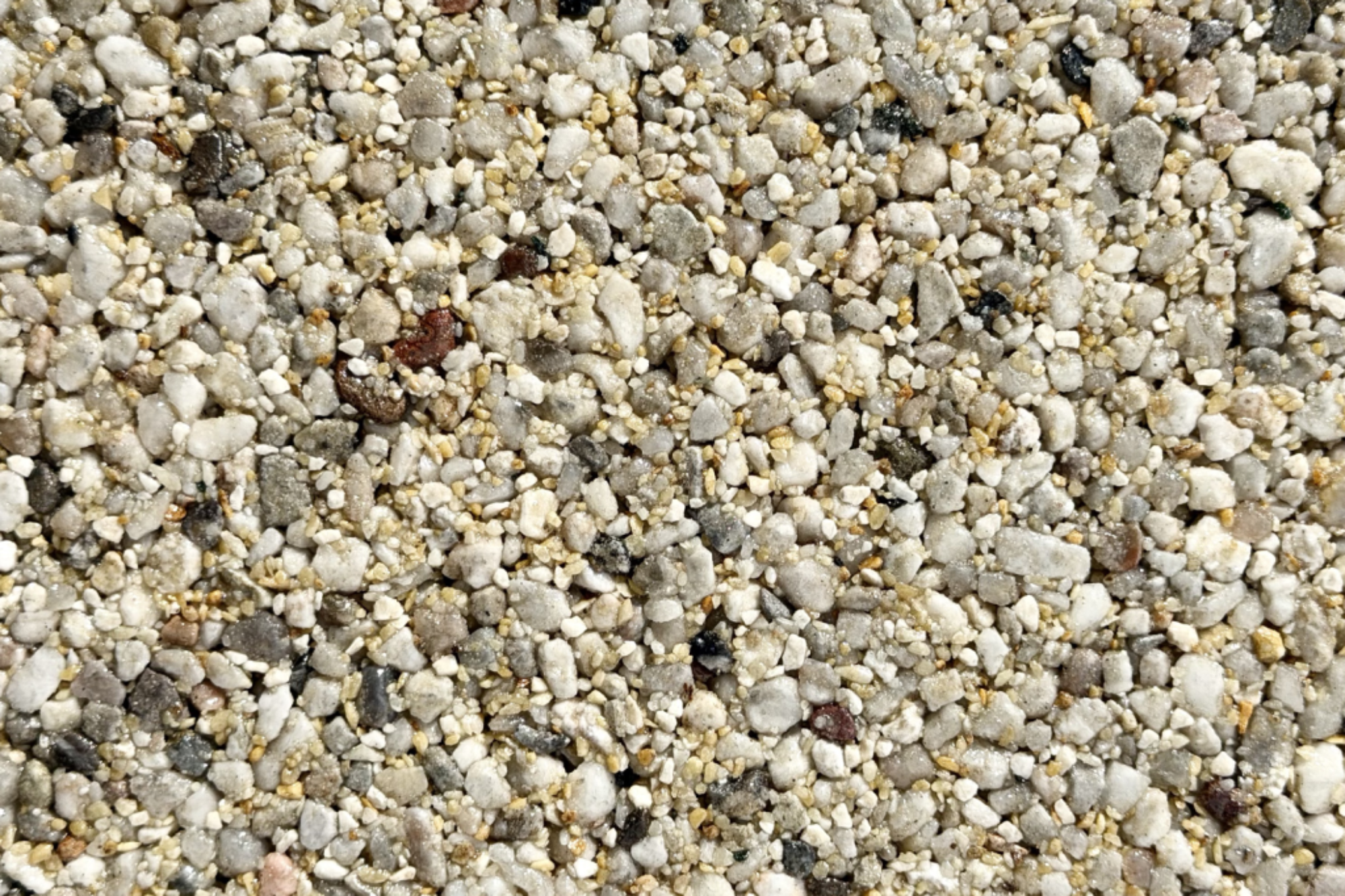 Antigua Sample
