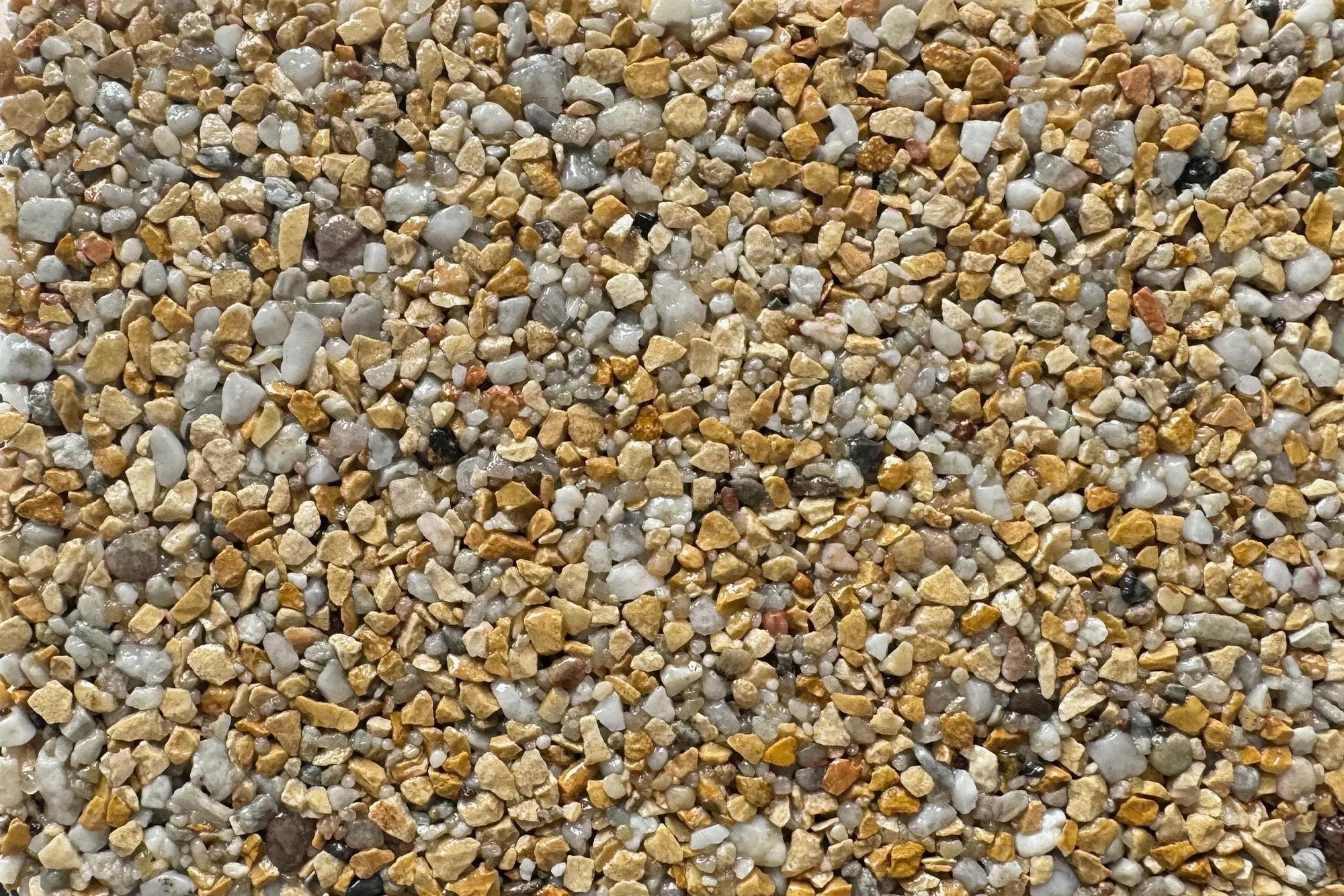 NEW Pantheon Sample Vuba