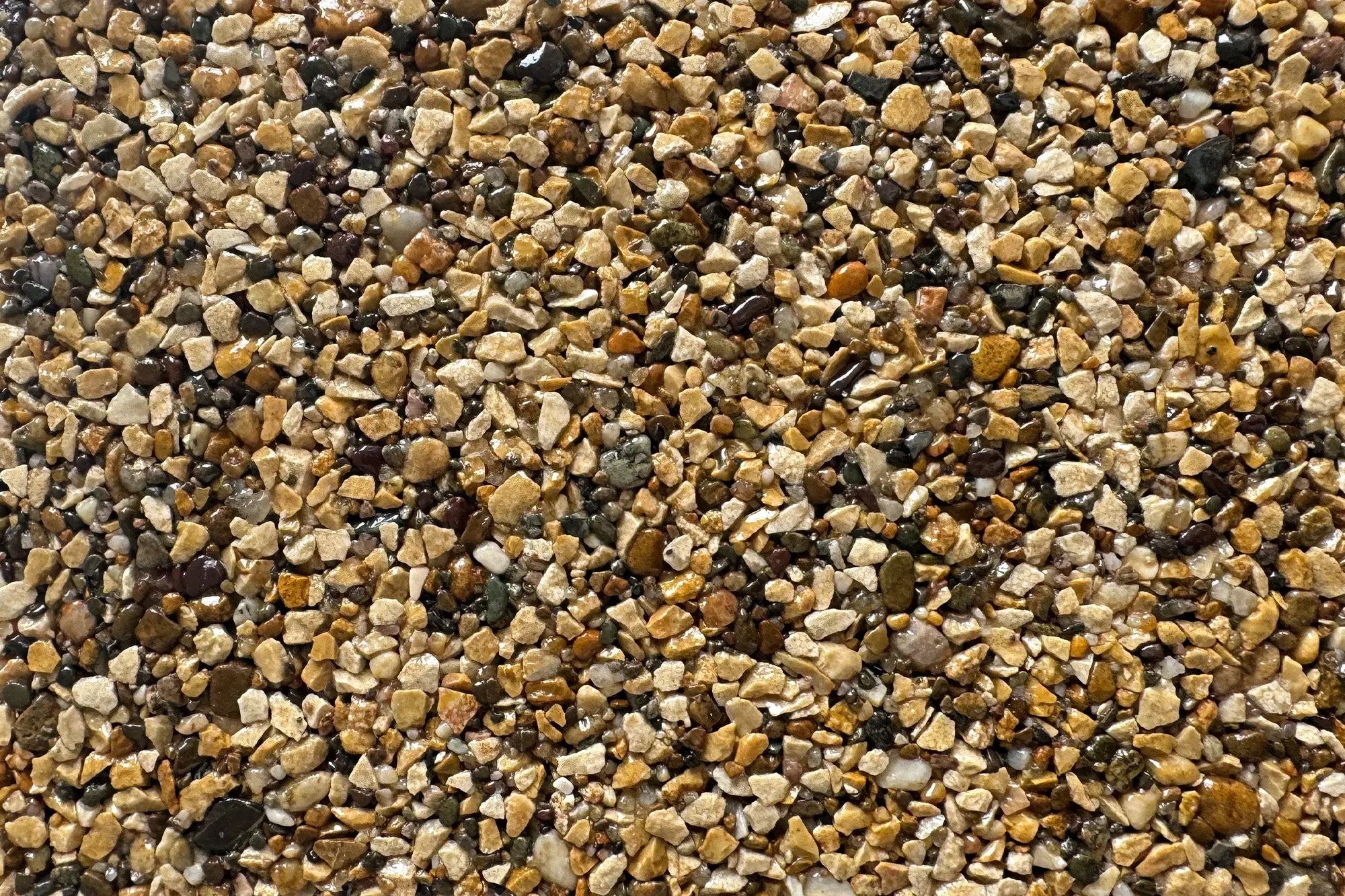 NEW Whitby Abbey Sample Vuba