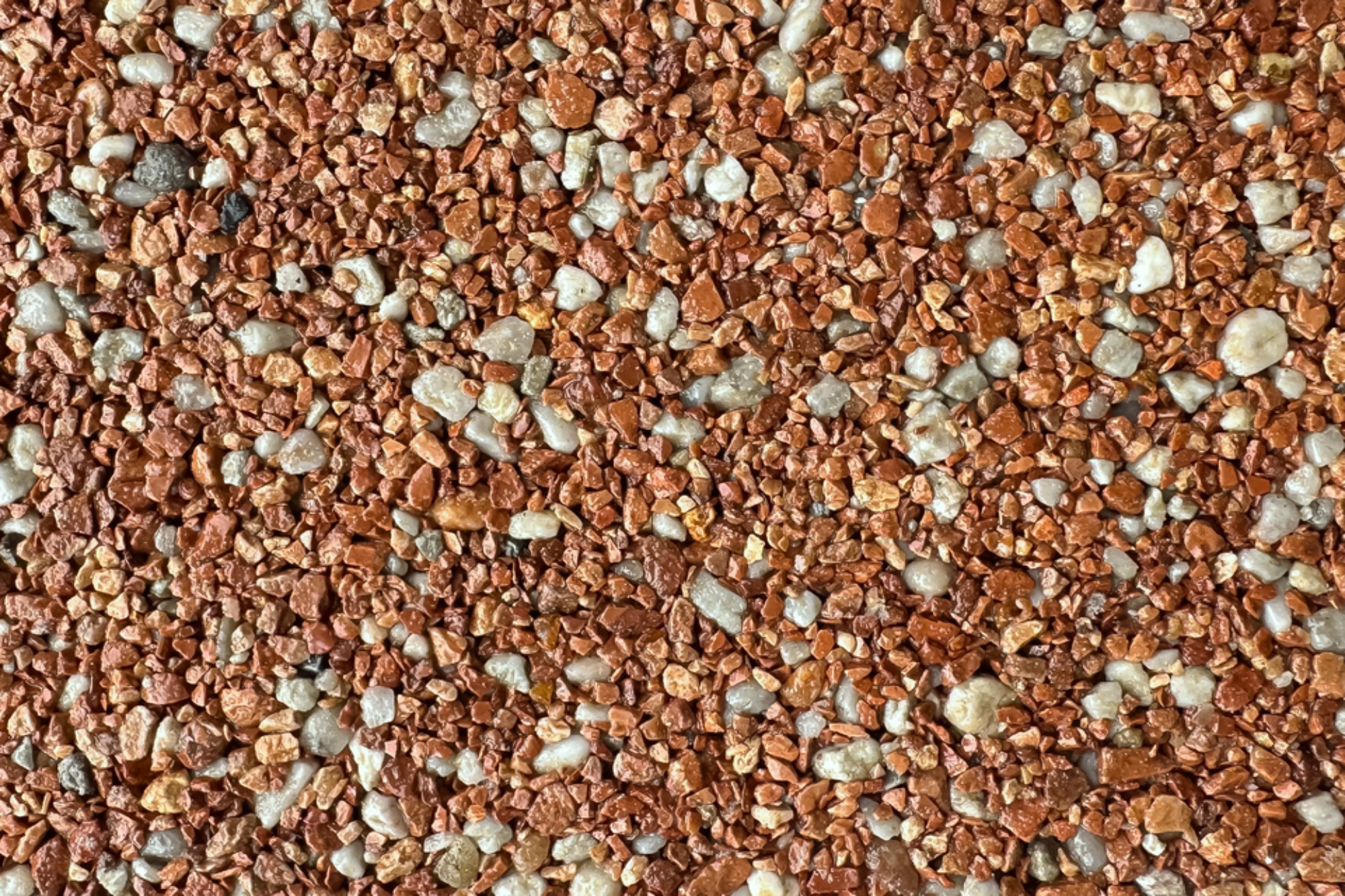 Sonoran Desert