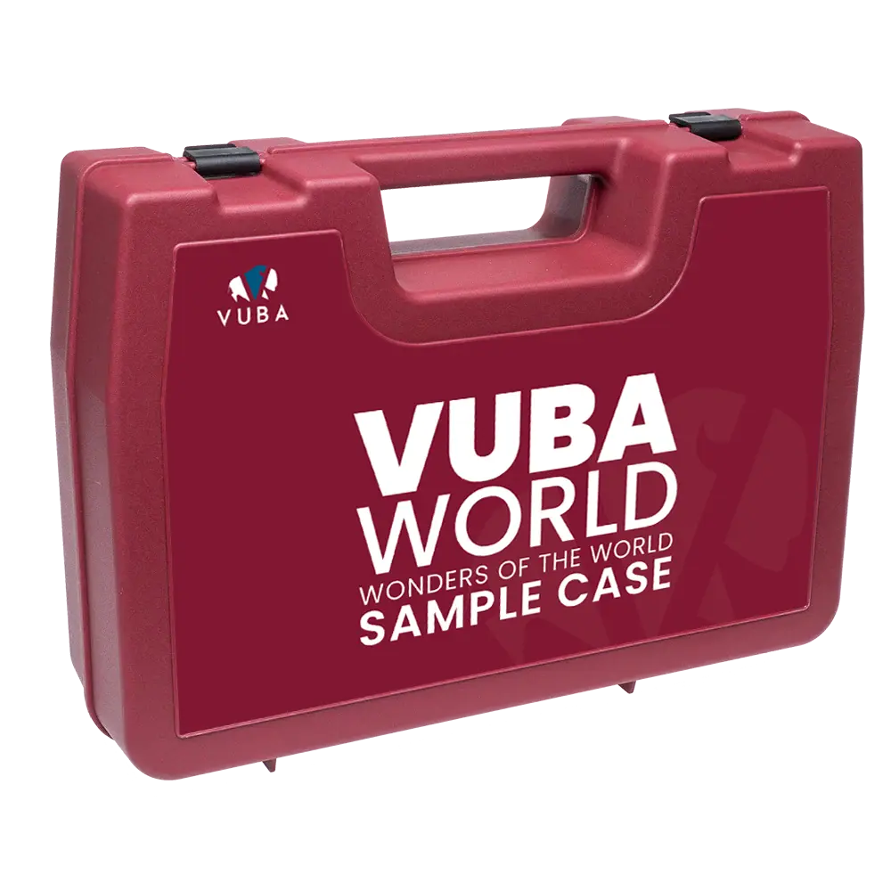 World Sample Case Vuba